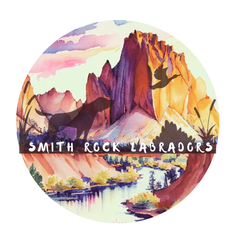 Smith Rock Labradors