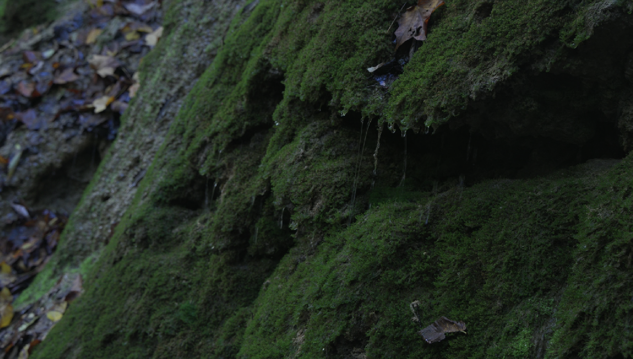 Screenshot 2025-10-20 221827.png