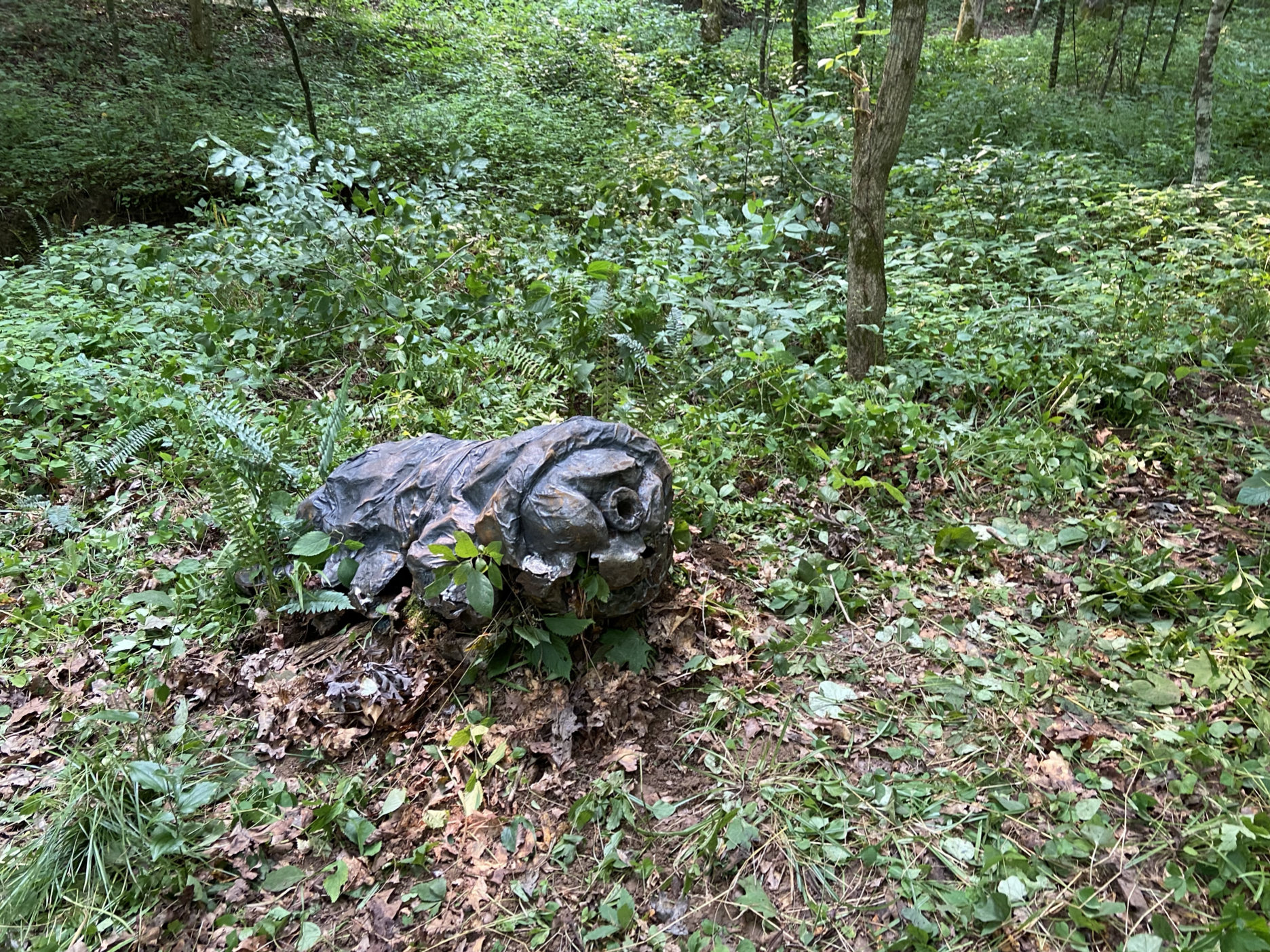 Screen Shot 2021-08-04 at 9.03.55 PM.png