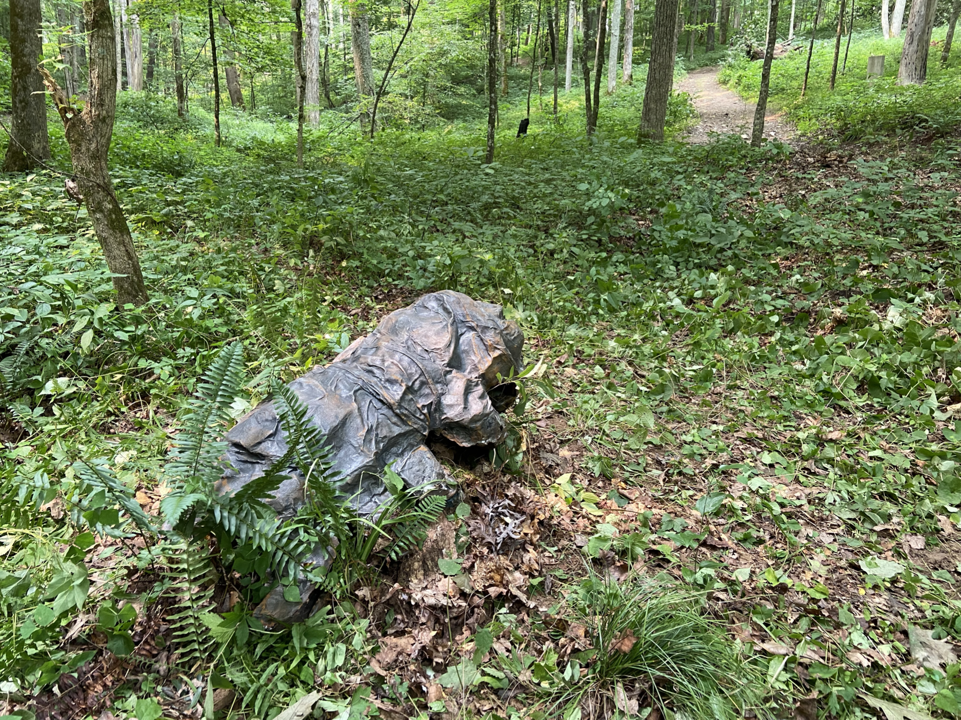 Screen Shot 2021-08-04 at 9.03.45 PM.png