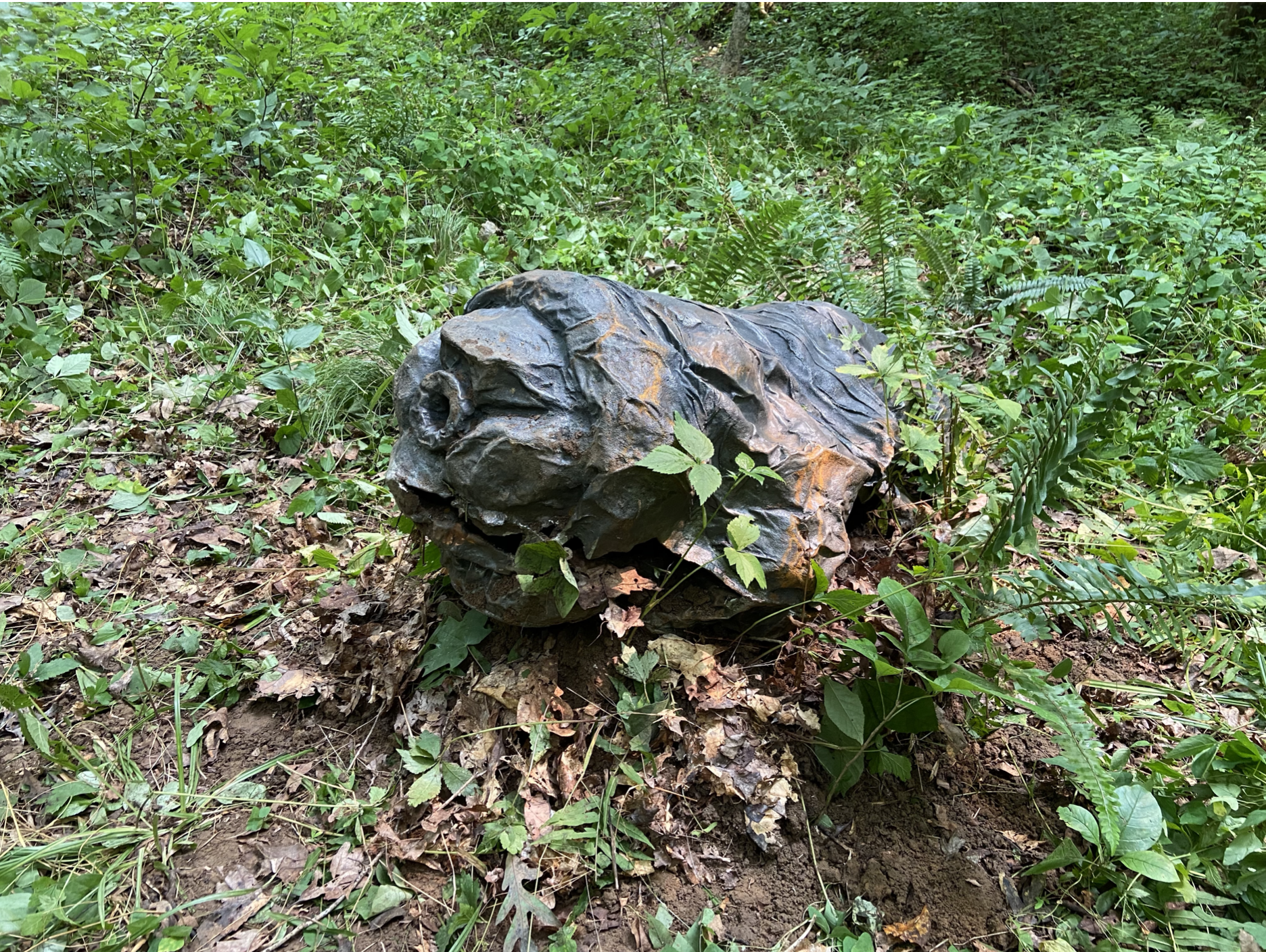 Screen Shot 2021-08-04 at 9.04.18 PM.png