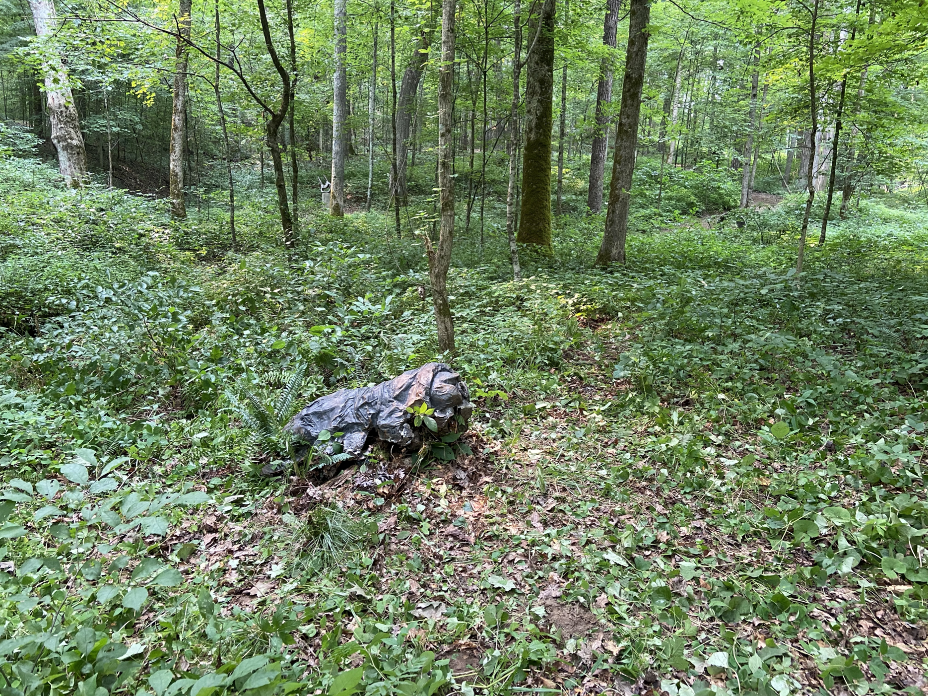 Screen Shot 2021-08-04 at 9.05.20 PM.png