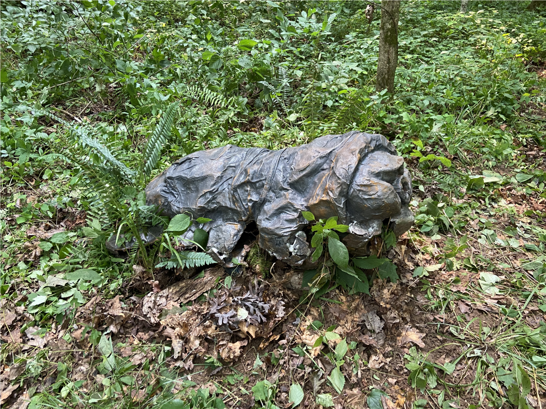 Screen Shot 2021-08-04 at 9.05.29 PM.png