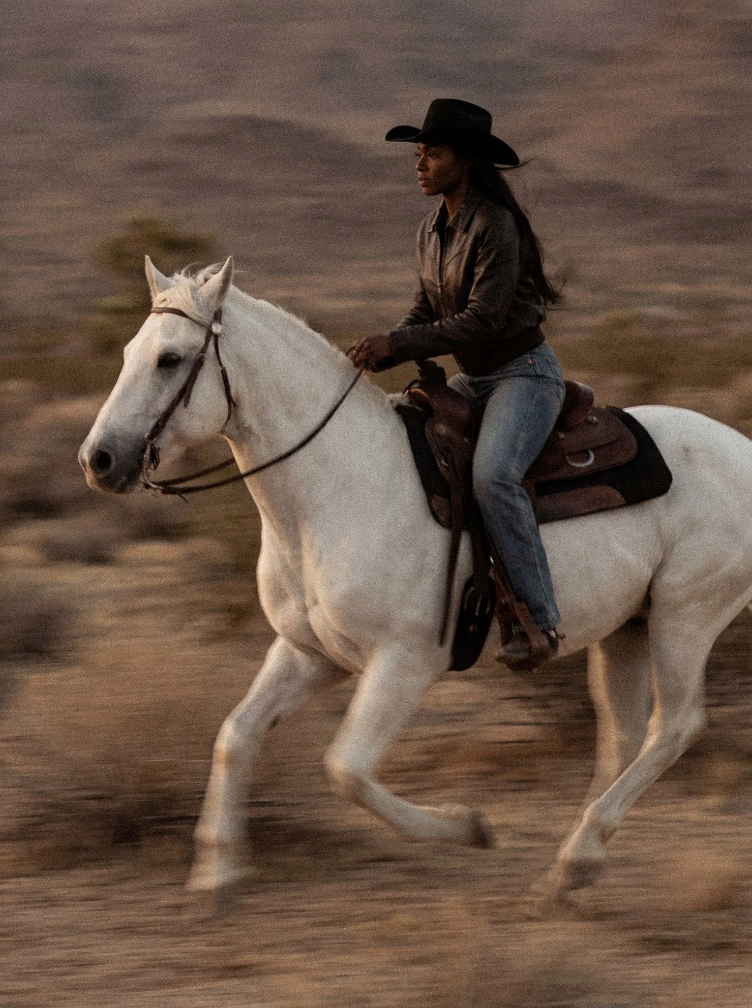 The Vault Stock-9866.jpg