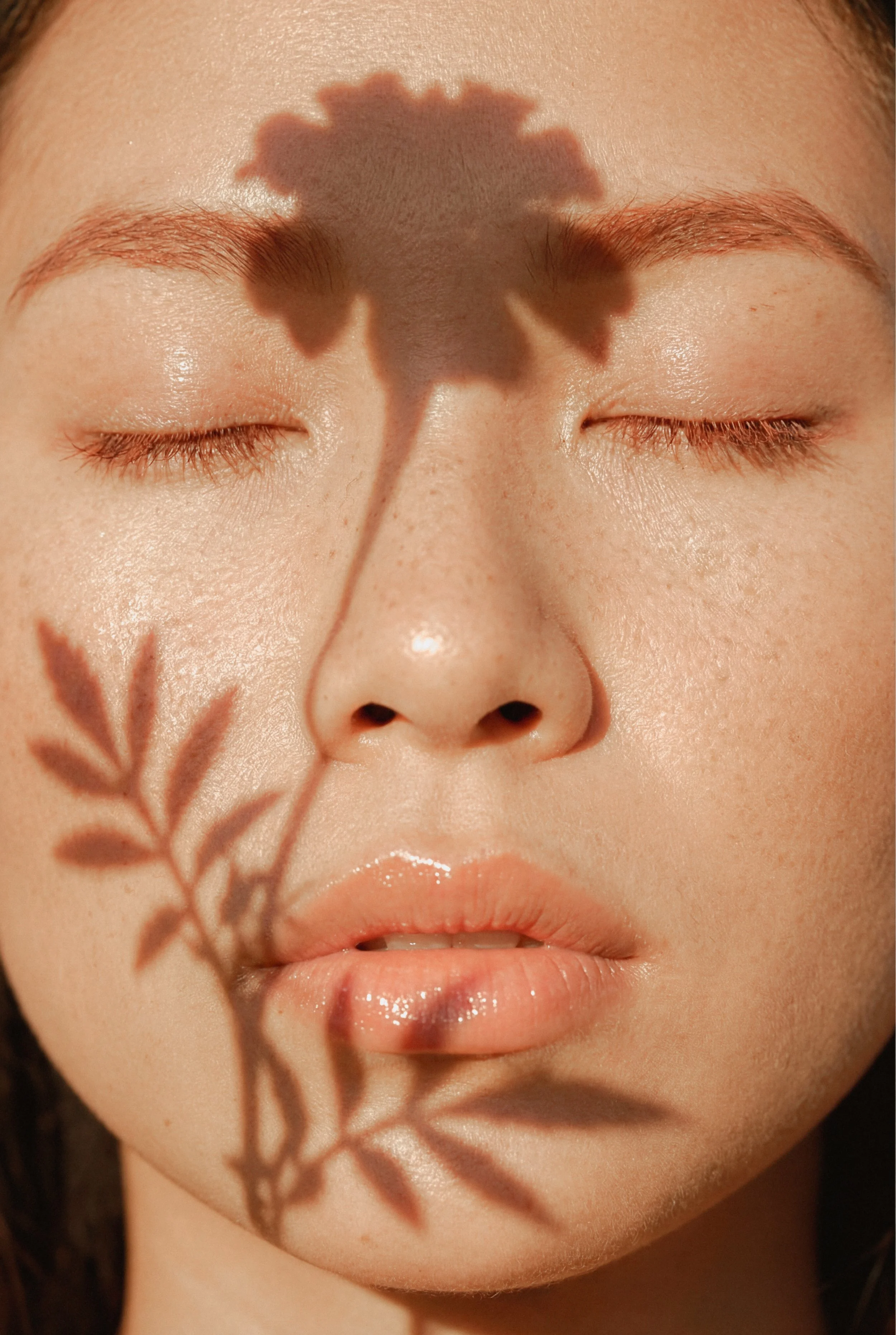 The Vault Stock-09948.jpg