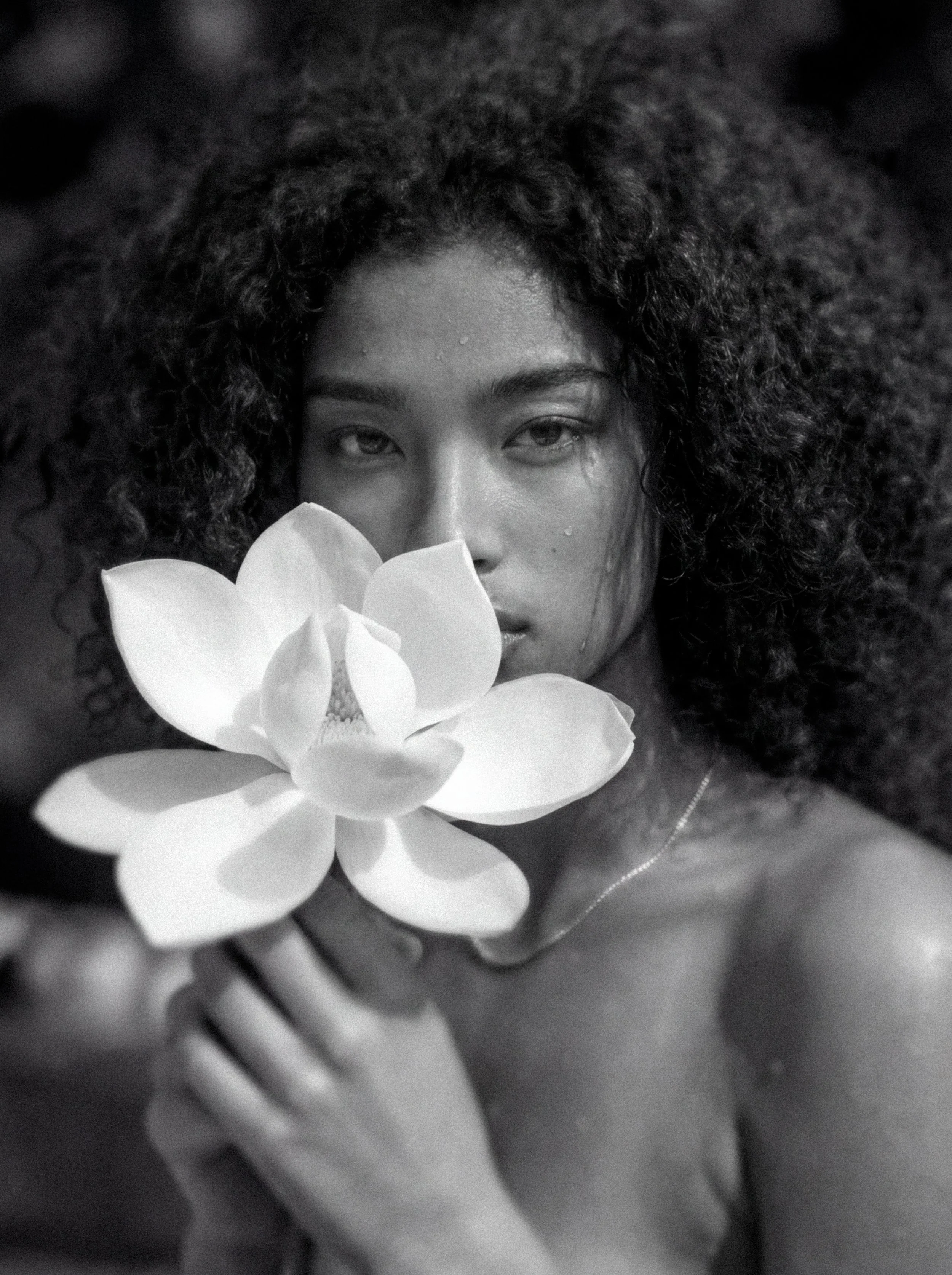 The Vault Stock-1173.jpg