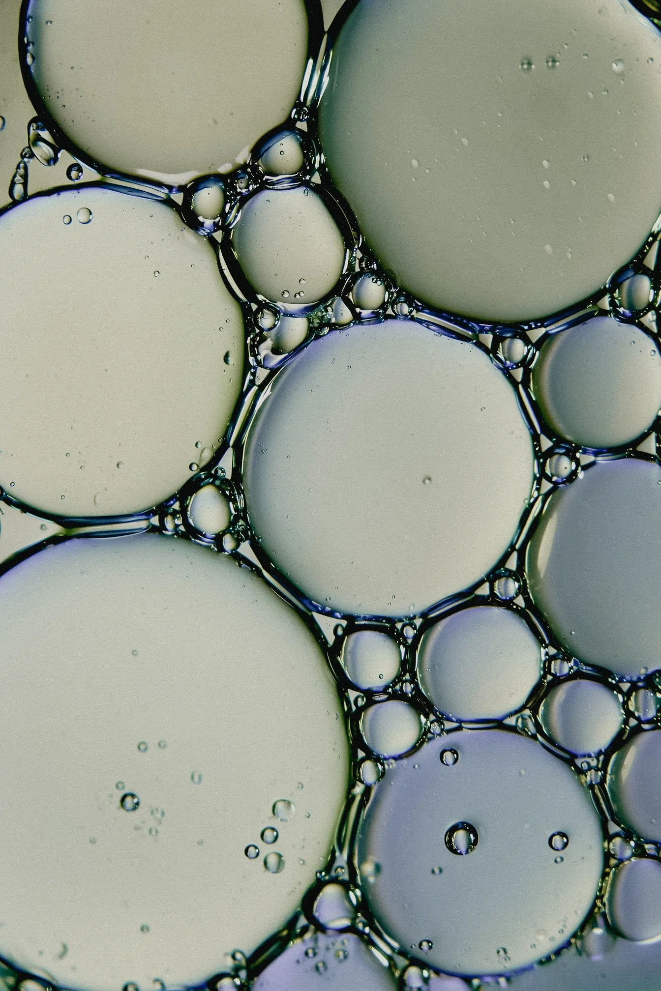 The Vault Stock-10043.jpg