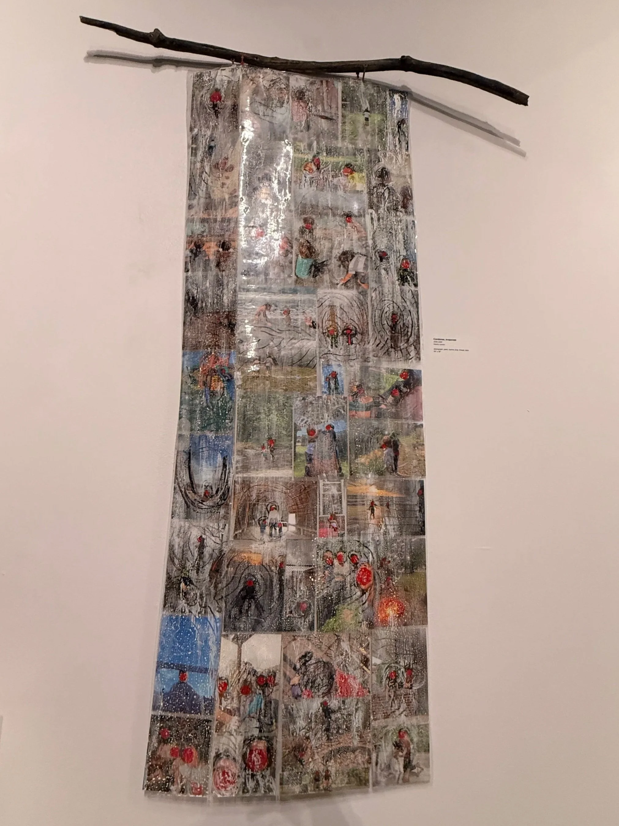 Installation Image III
Condense, evaporate
2025-2026
Nearly Lemon

photograph, paint, marine vinyl, thread, stick
55" x 38"