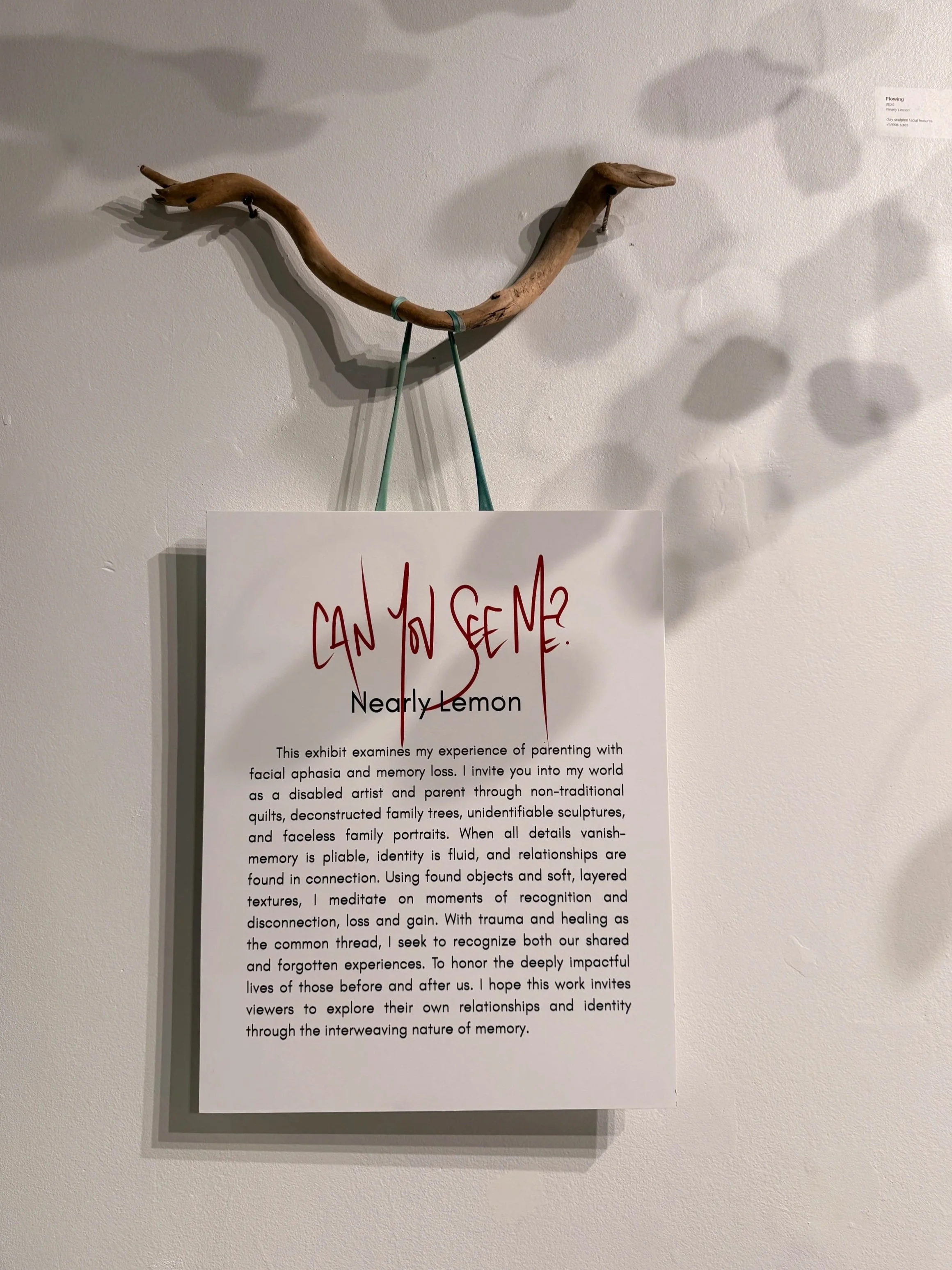 Installation Image I
Introduction
solo exhibition by Nearly Lemon

Traversing memory loss and facial aphasia and healing intergenerational trauma as a disabled artist and parent.