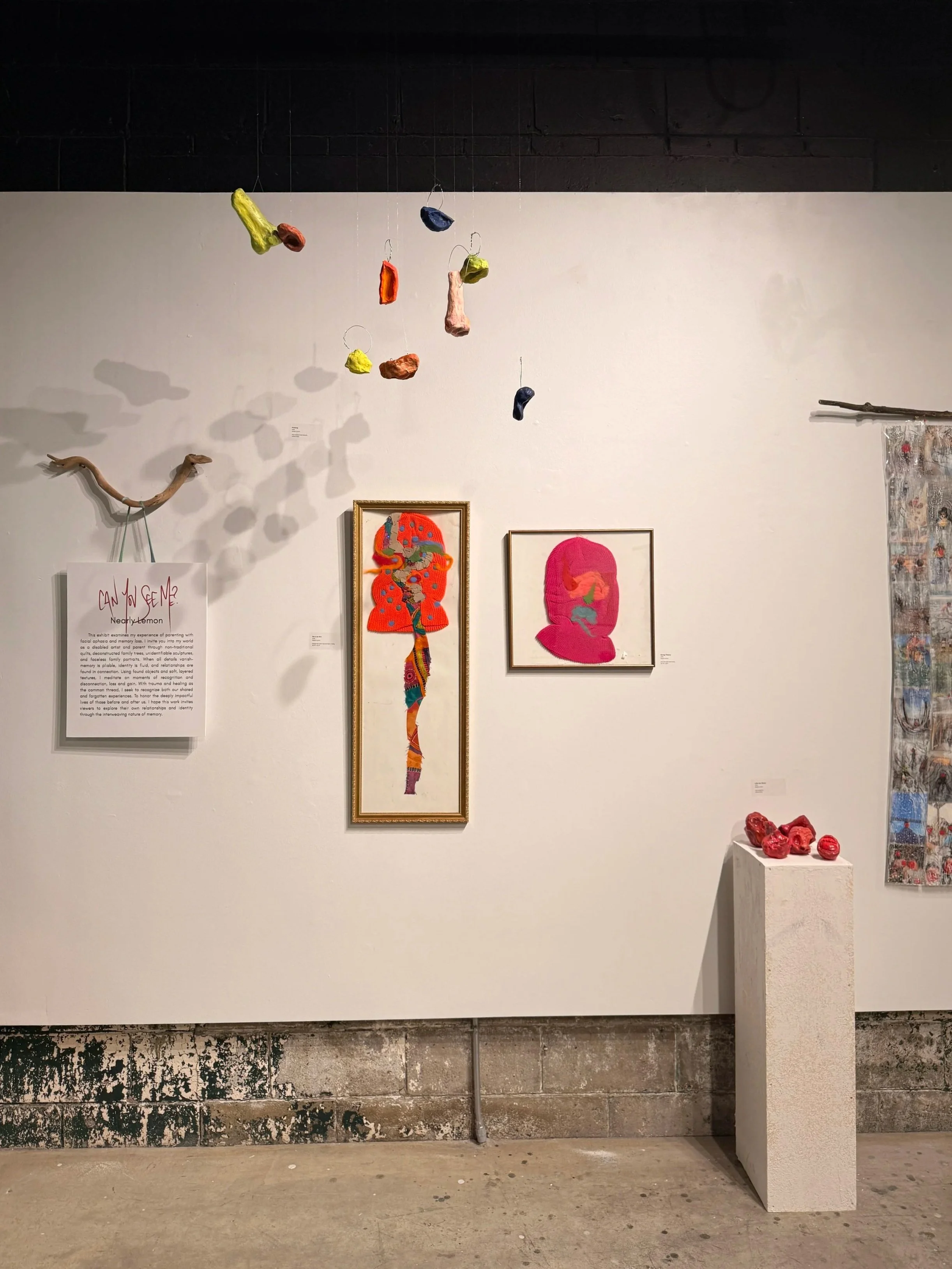 Installation Image I
Flowing
2026
Nearly Lemon

painted clay and wire
various sizes 