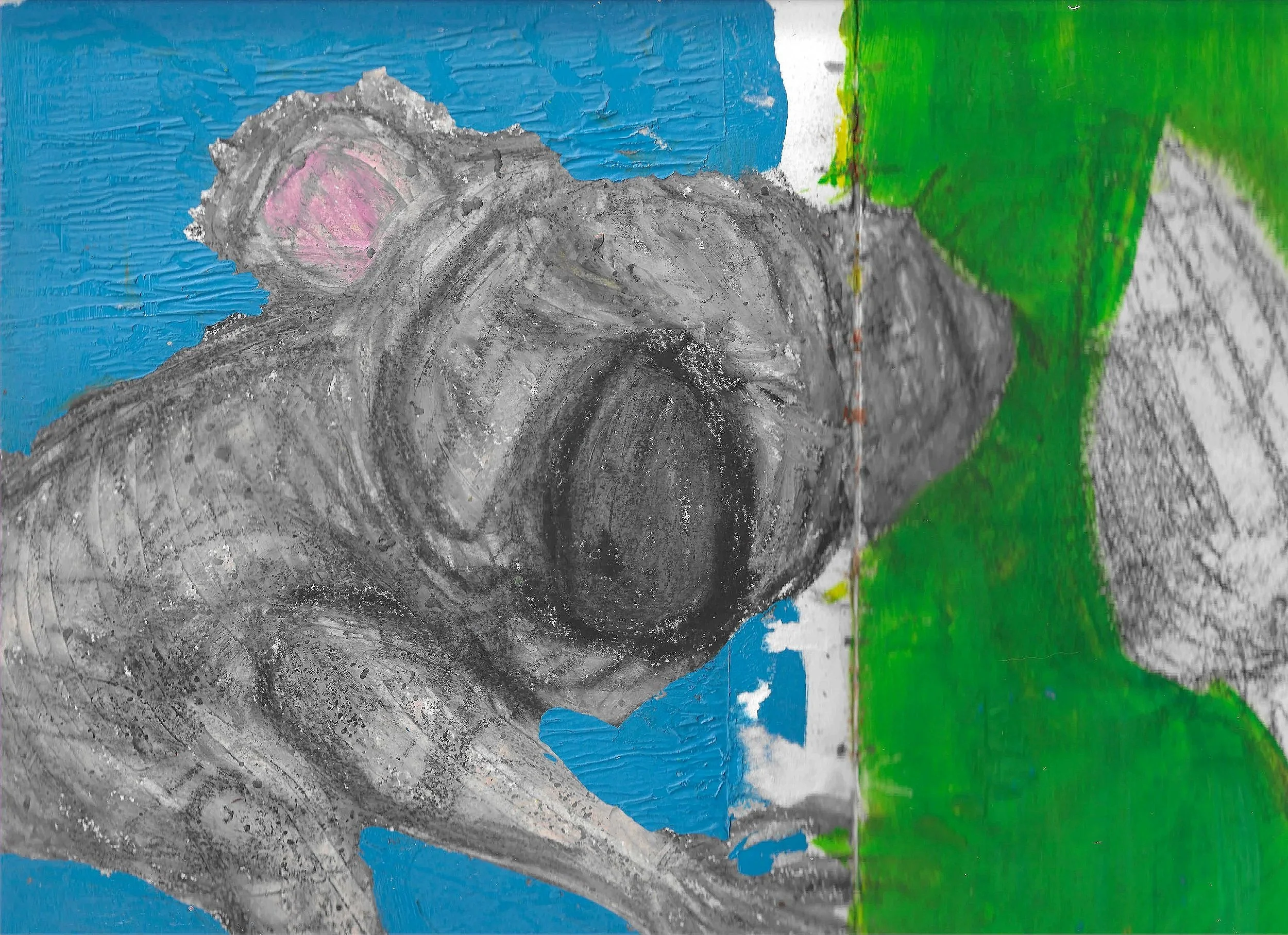 koala, 2025, acrylic, pastel, charcoal, on paper
