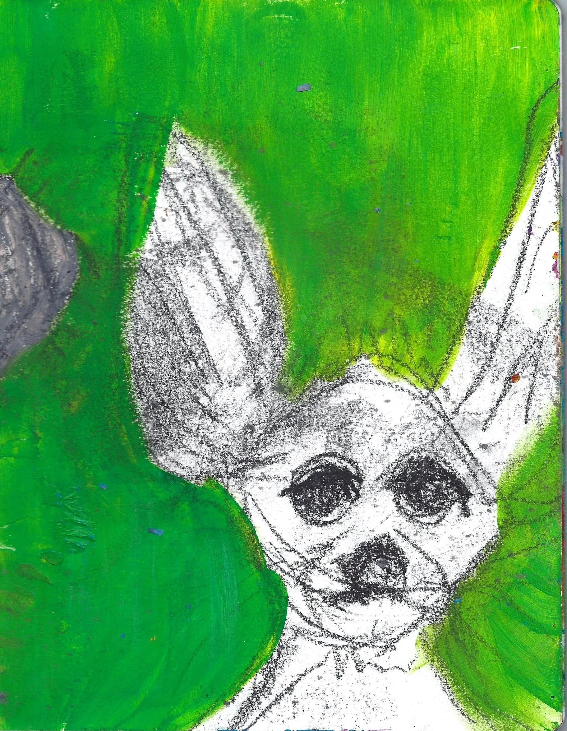 arctic fox, 2025, acrylic paint, charcoal  on paper 