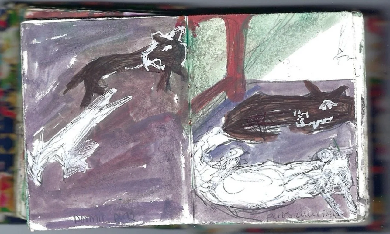 Perros relajándose, dos perros tranquilos