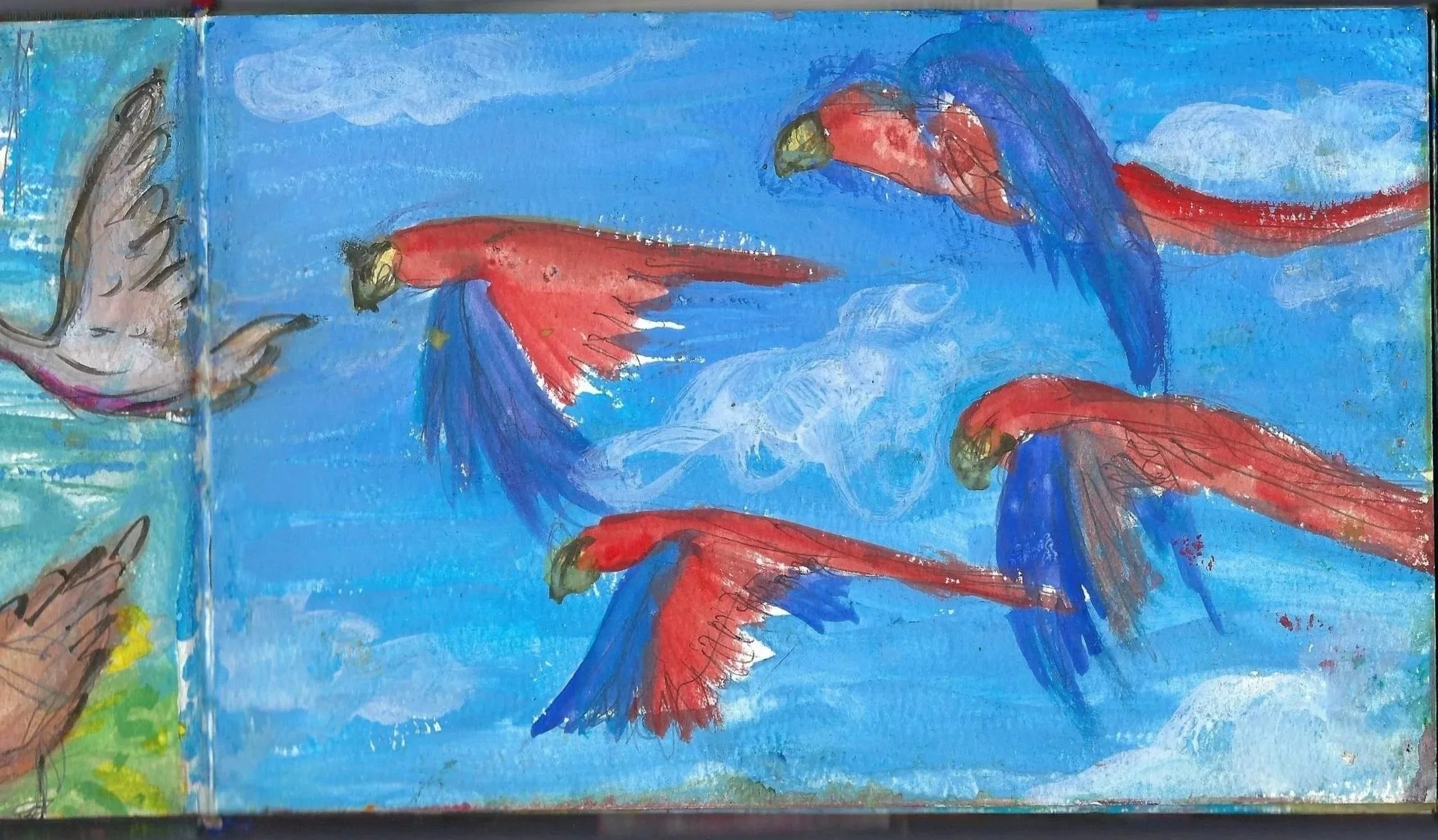 Lapas rojas, Scarlet Macaws