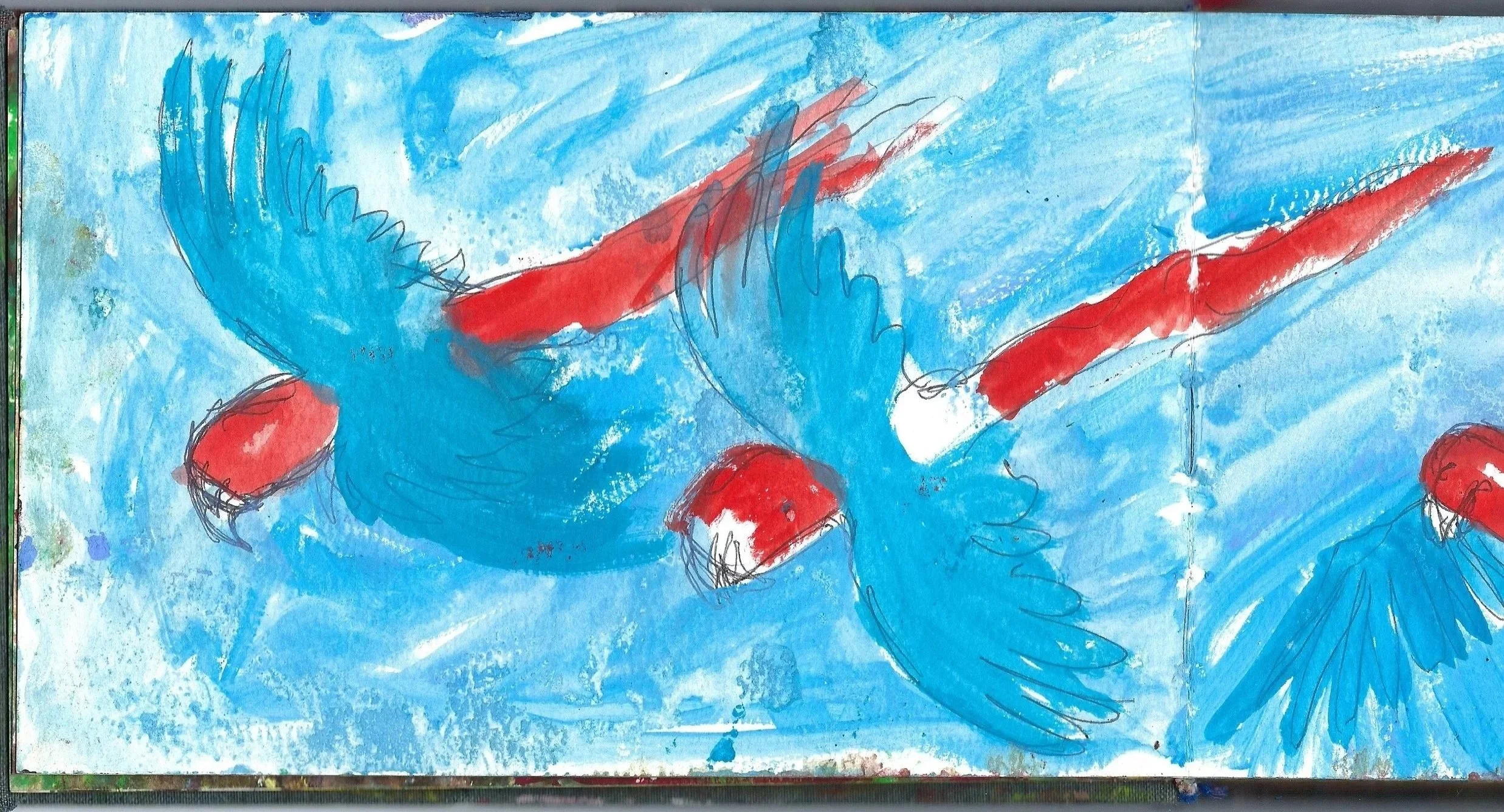 Lapas rojas, Scarlet Macaws