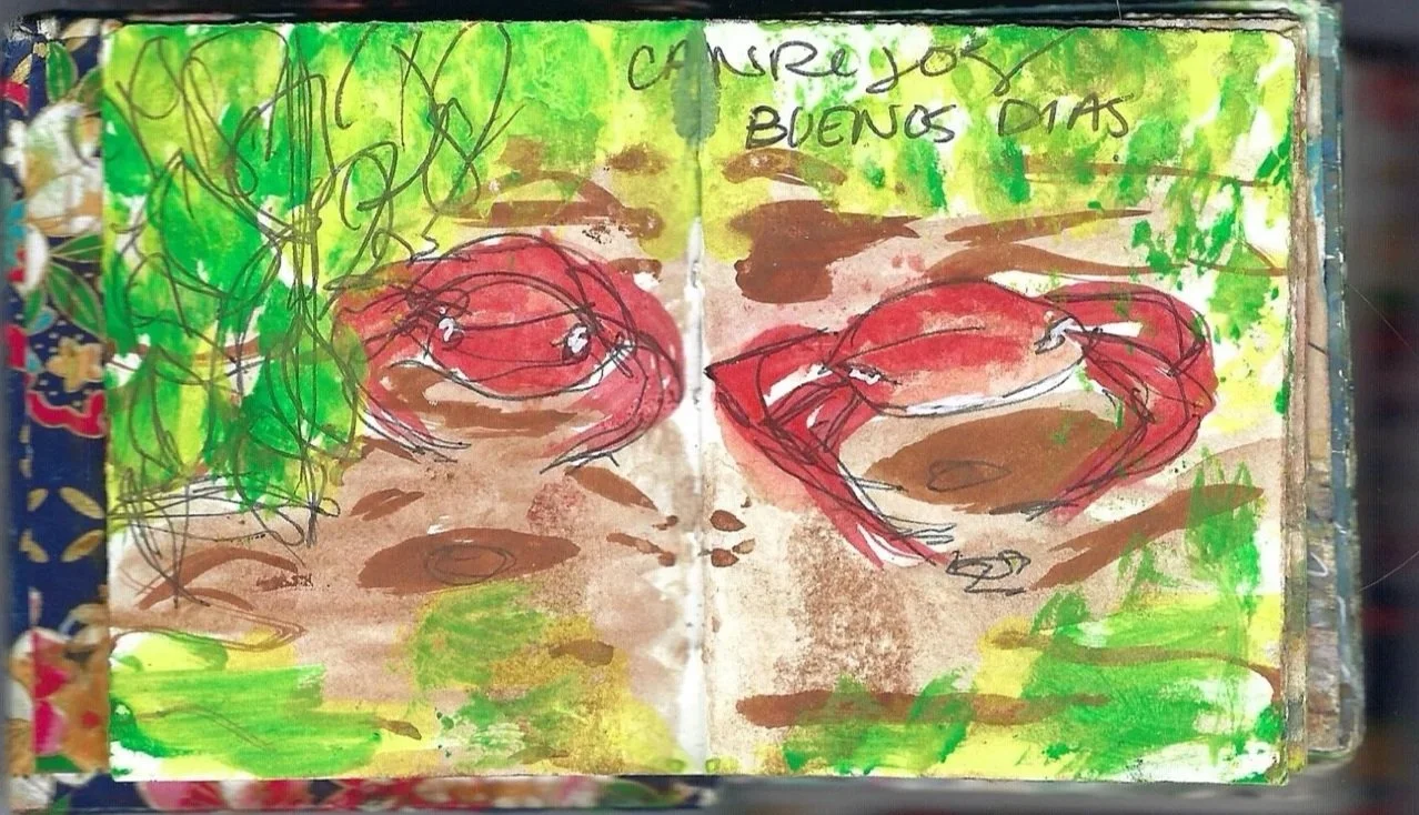 Cangrejos, crabs, Zancudo