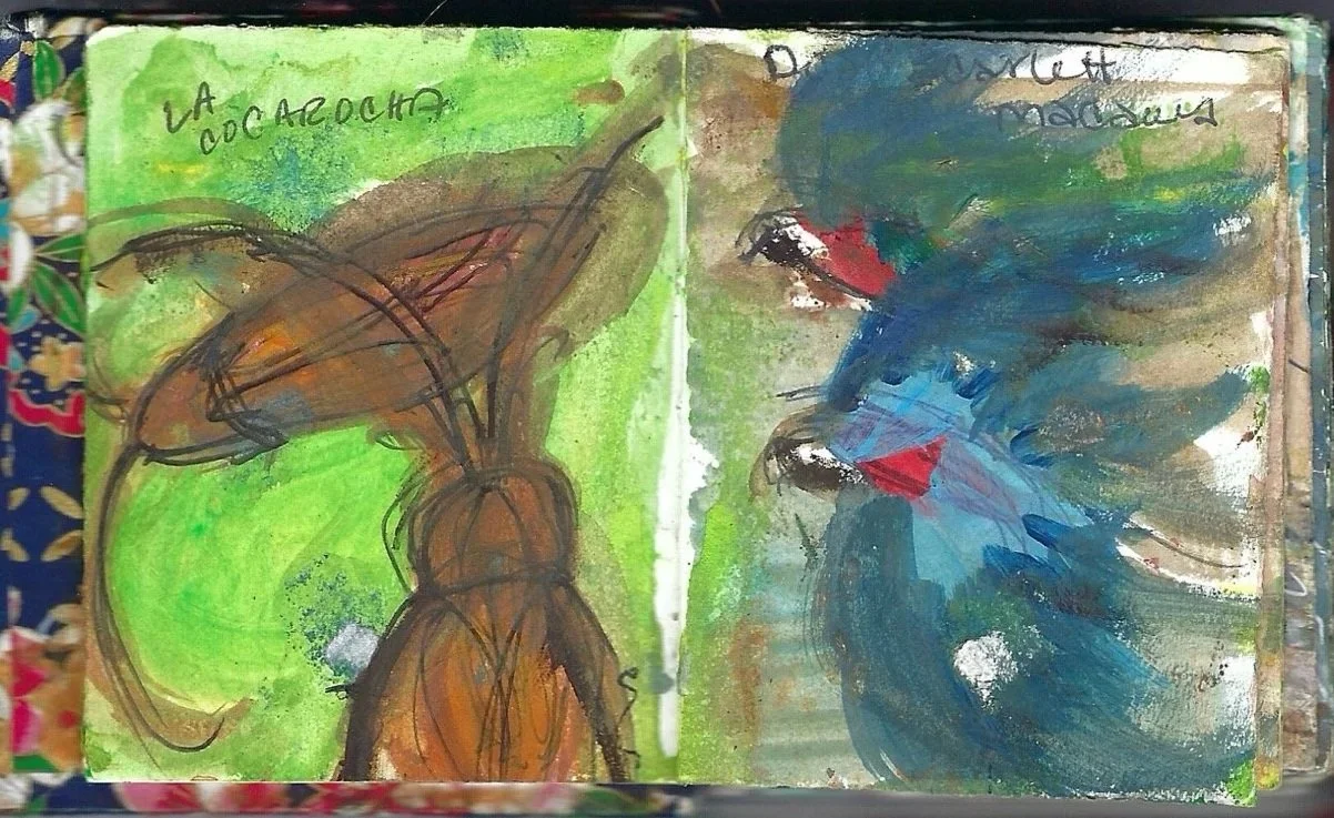Cucarachas y guacamayos rojos, cockroaches and Scarlet Macaws