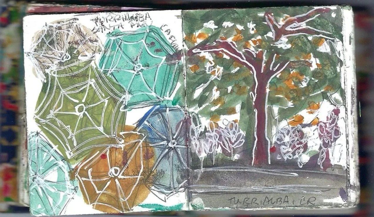 Paraguas y un hermoso árbol en Turrialba, Umbrellas and beautiful tree in Turrialba
