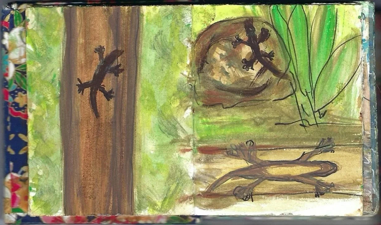 Pequeños Lagartos, little lizards, Zancudo