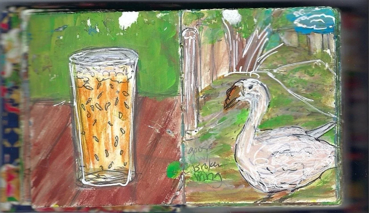 Refresco de maracuyá y ganso con el ala rota, Soda de maracuyá y Broken Wing Goose, Zancudo