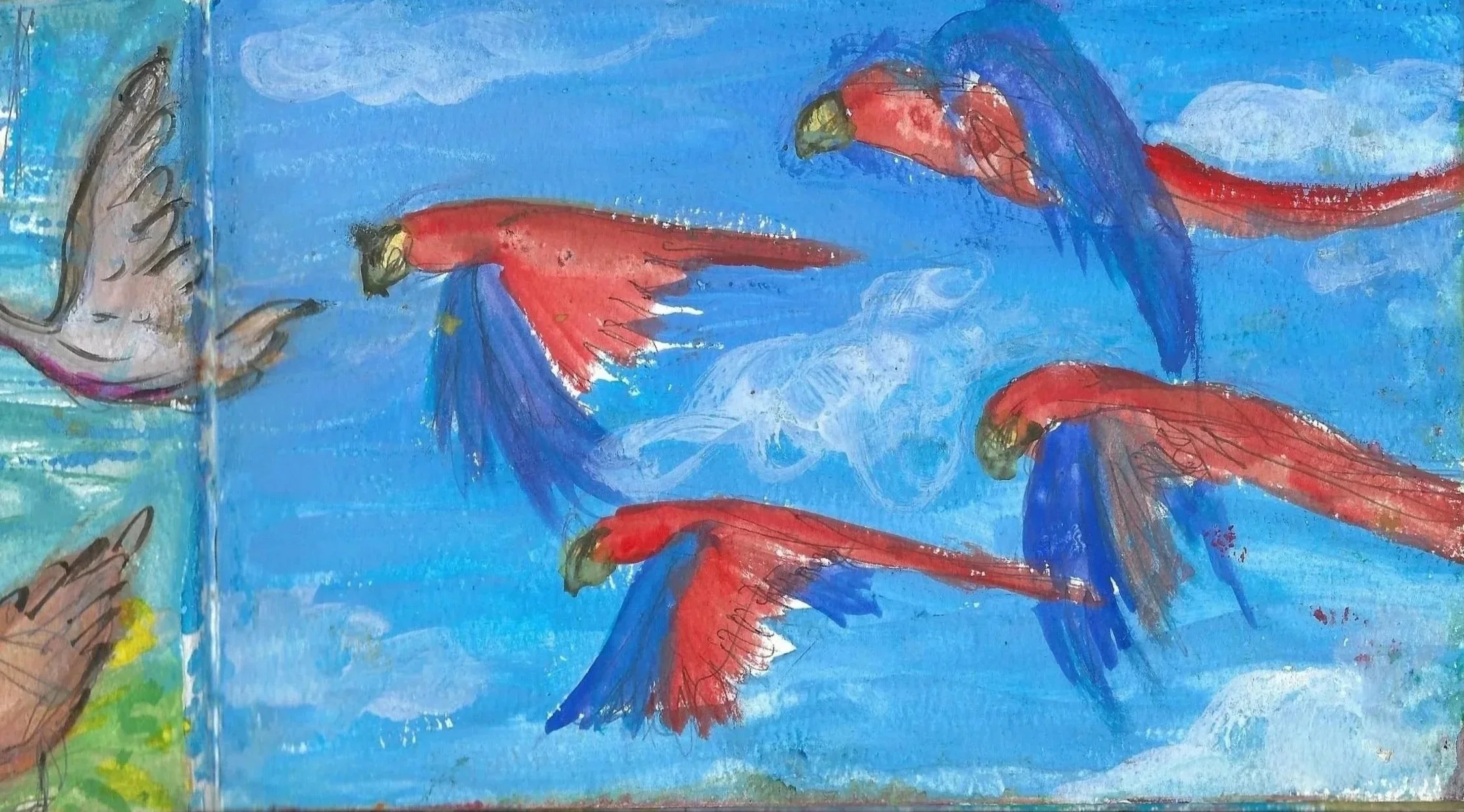 Lapas rojas, Scarlet Macaws