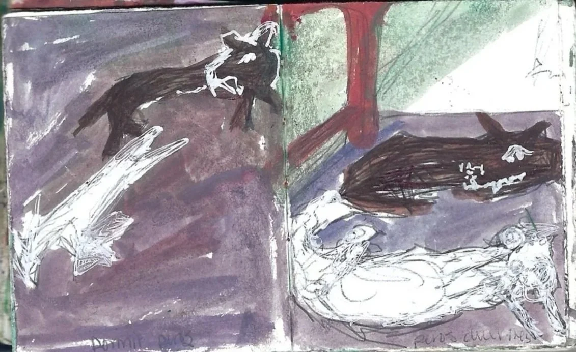 Perros relajándose, dos perros tranquilos