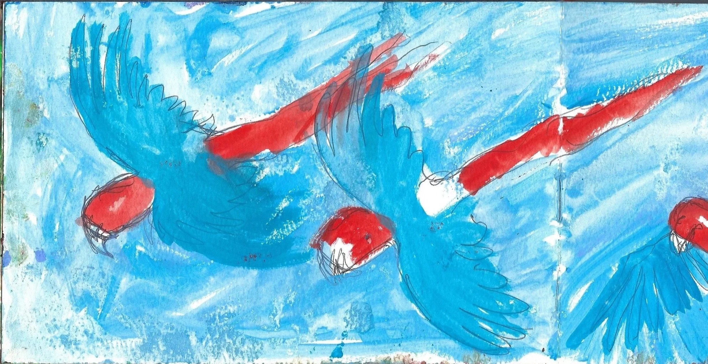 Lapas rojas, Scarlet Macaws