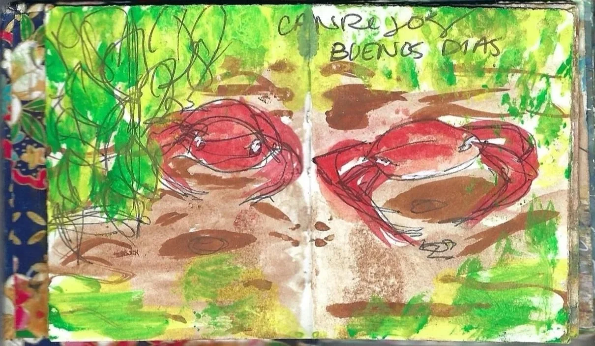 Cangrejos, crabs, Zancudo