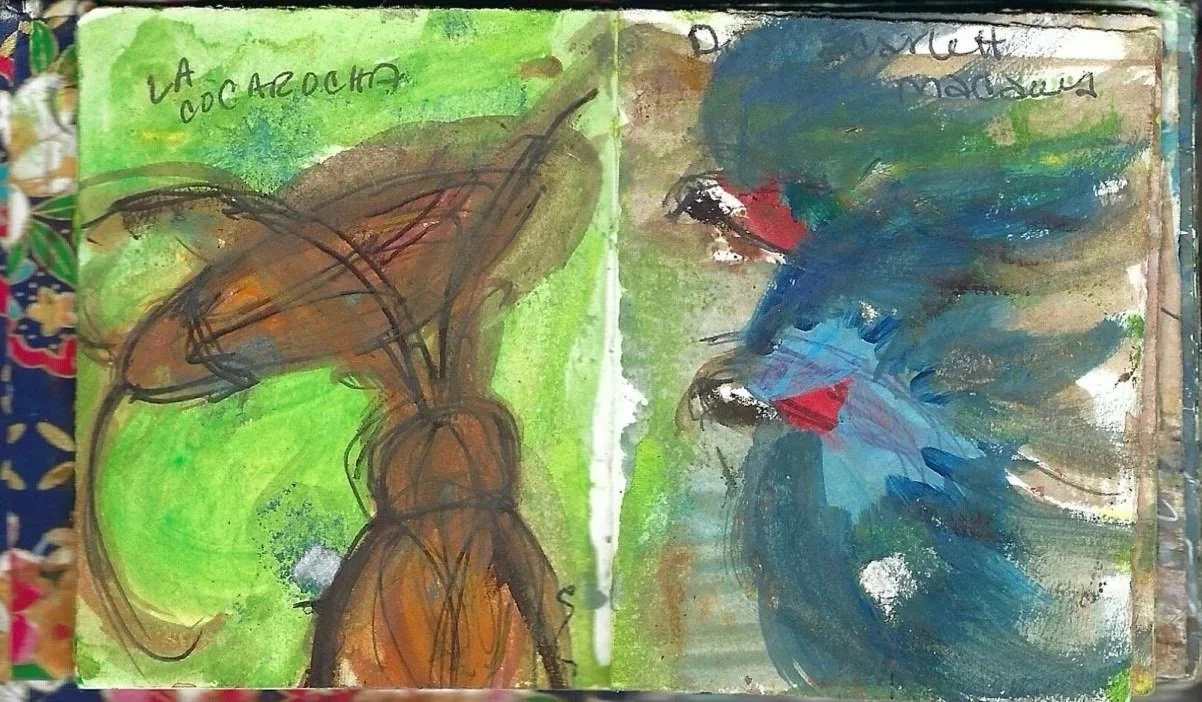 Cucarachas y guacamayos rojos, cockroaches and Scarlet Macaws