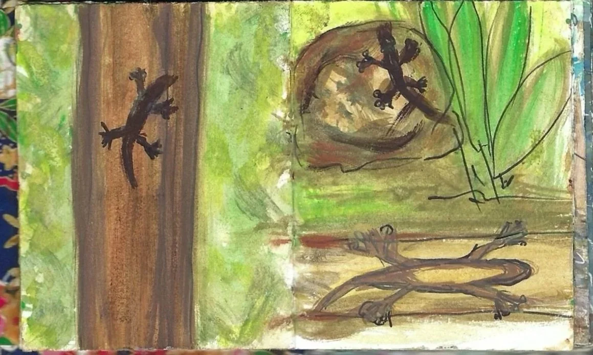 Pequeños Lagartos, little lizards, Zancudo