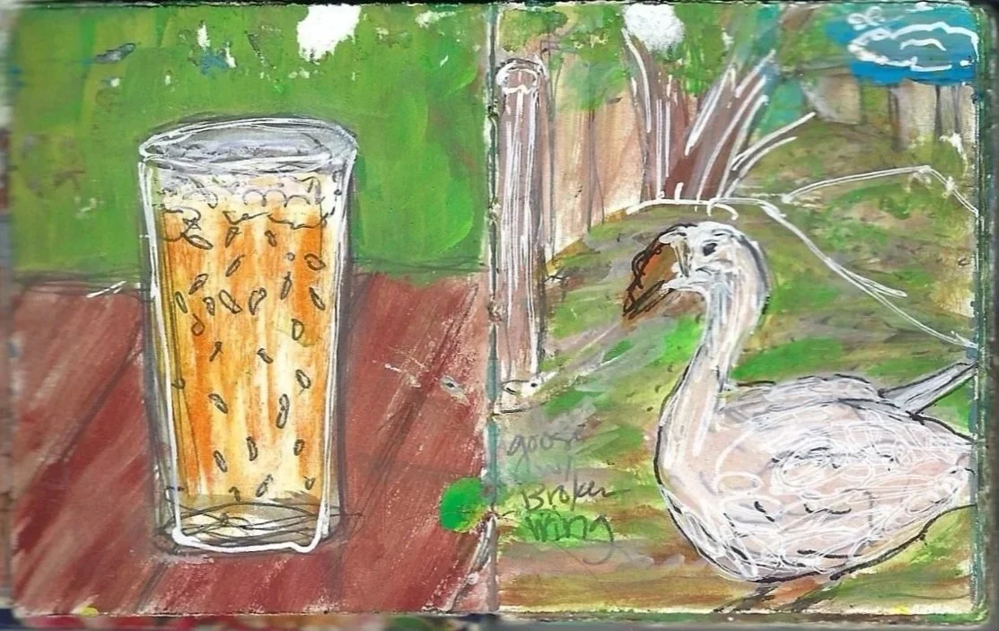 Refresco de maracuyá y ganso con el ala rota, Soda de maracuyá y Broken Wing Goose, Zancudo