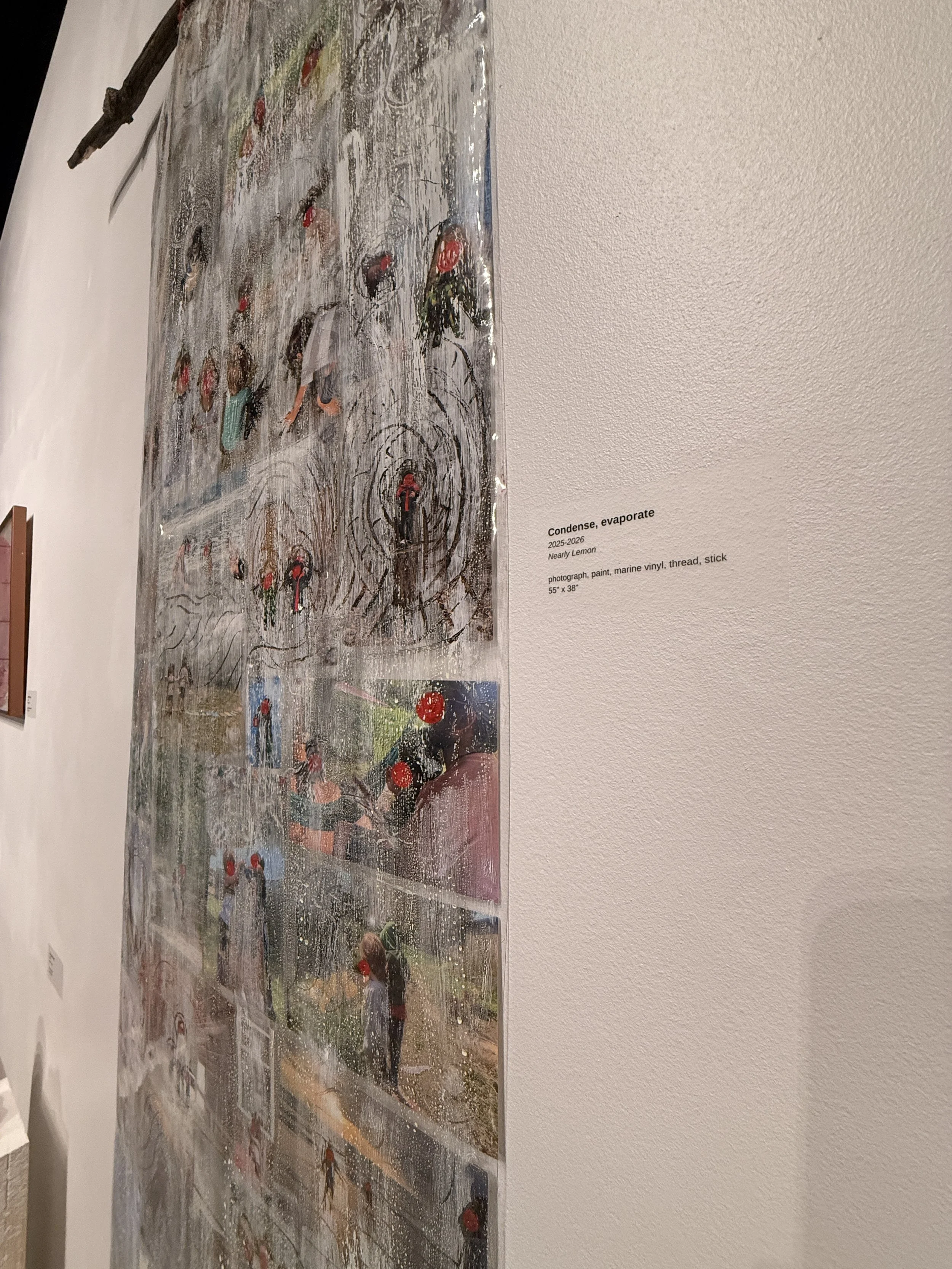 Installation Image II
Condense, evaporate
2025-2026
Nearly Lemon

photograph, paint, marine vinyl, thread, stick
55" x 38"