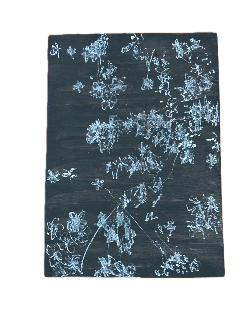  Forget-me-nots, 2026, black and white gouache on wood panel 
