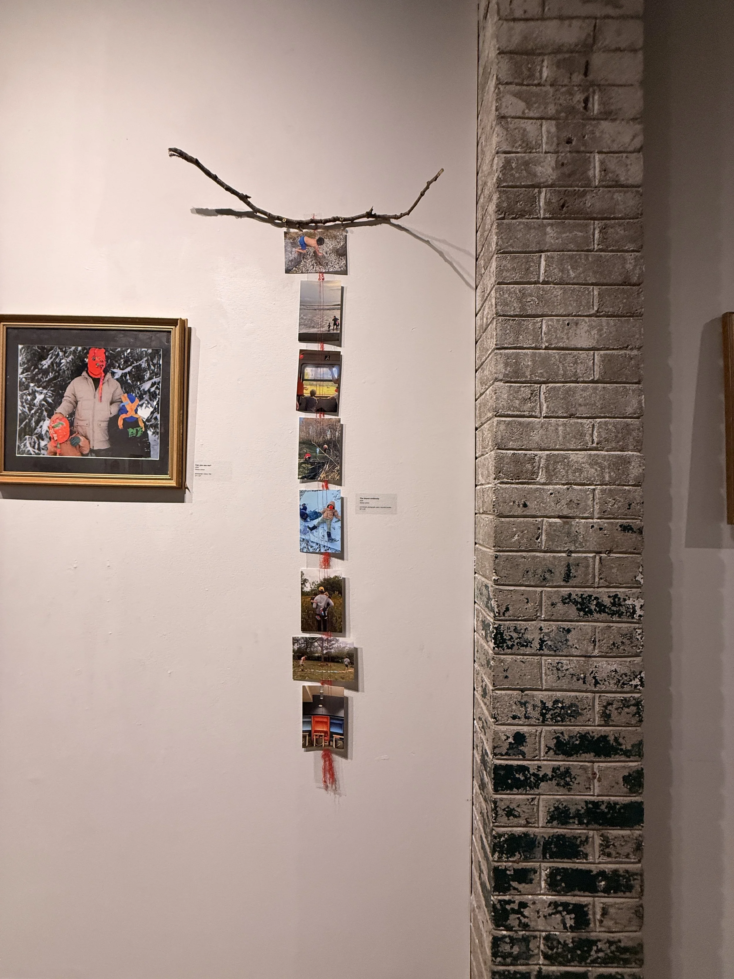 Installation Image I 
The cycle
2026
Nearly Lemon

red thread, photograph, paint, wooden stick
66" x 19"