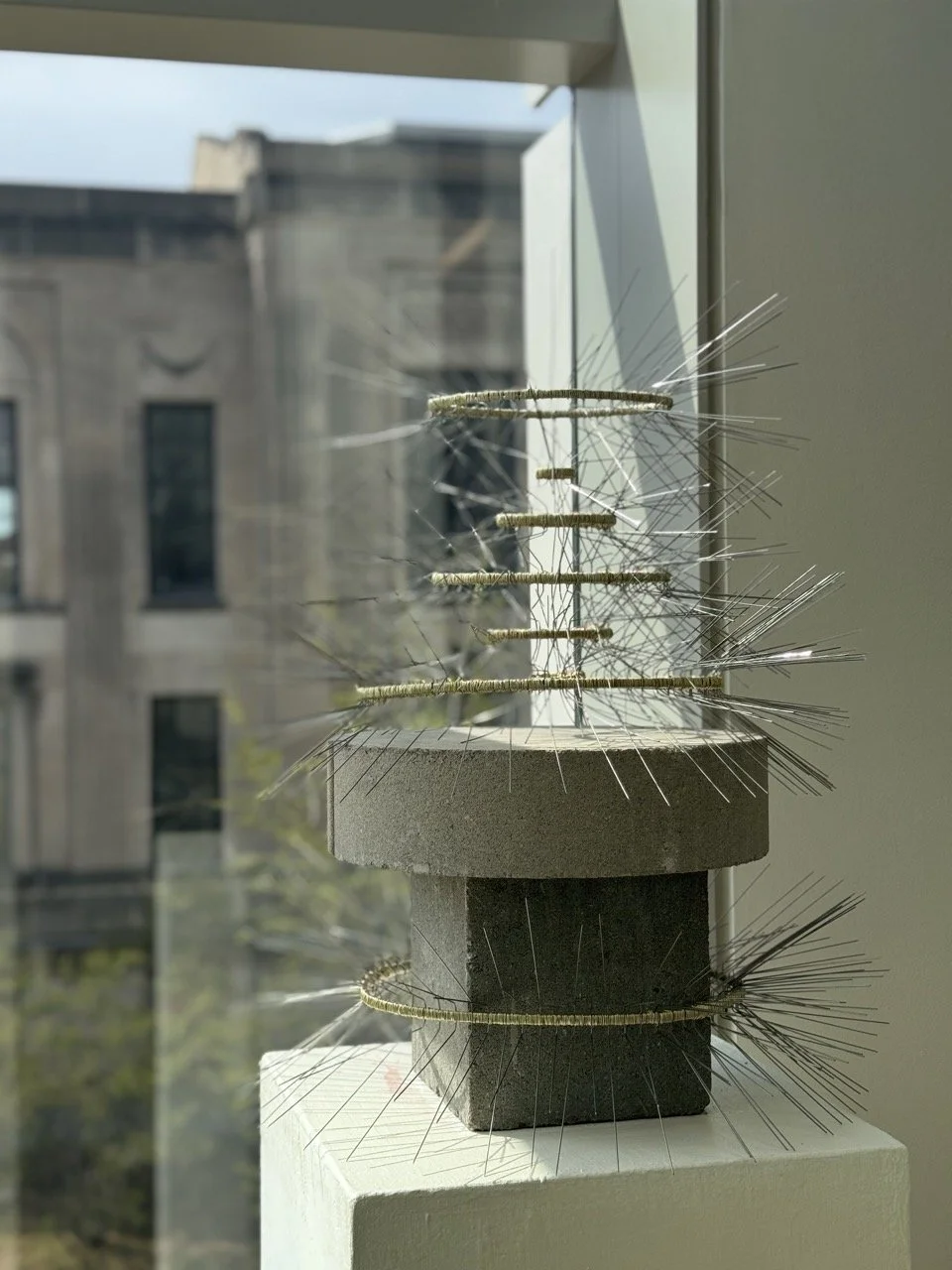 The Echo Project