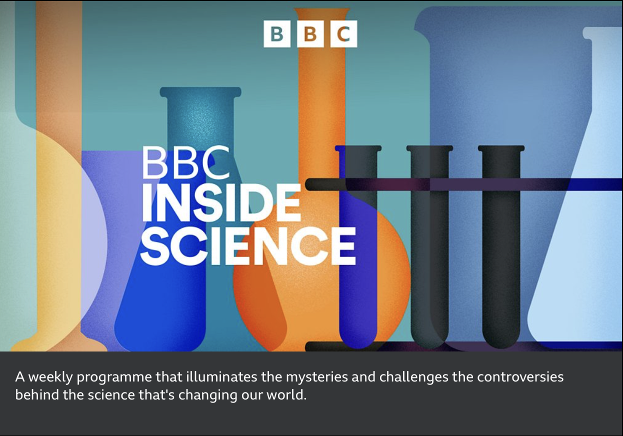 The Curse  (PRODUCER & SOUND DESIGNER)