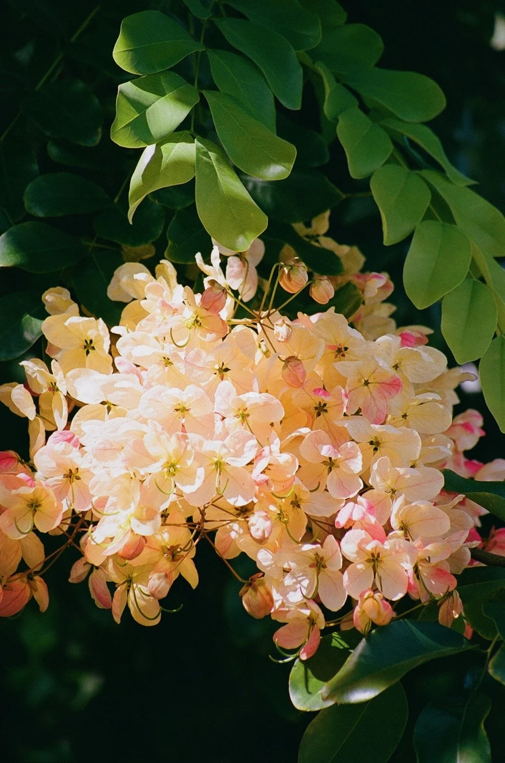 62910DA0-8B16-45C7-B16B-F5F5C60B38CE.JPG