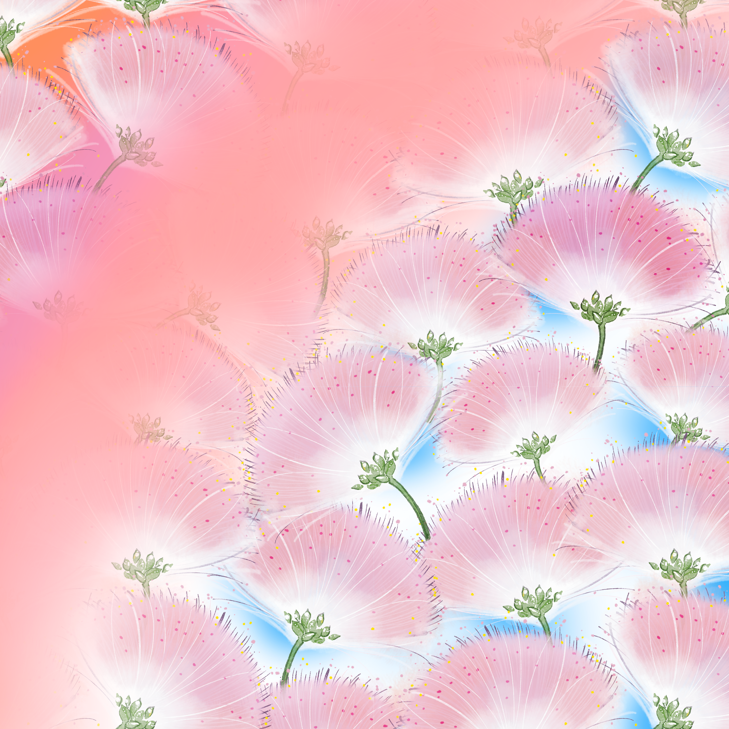 mimosa tree