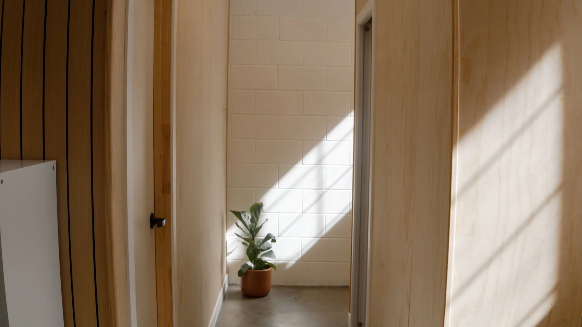 MOVE WOMEN.00_01_20_14.Still063.jpg