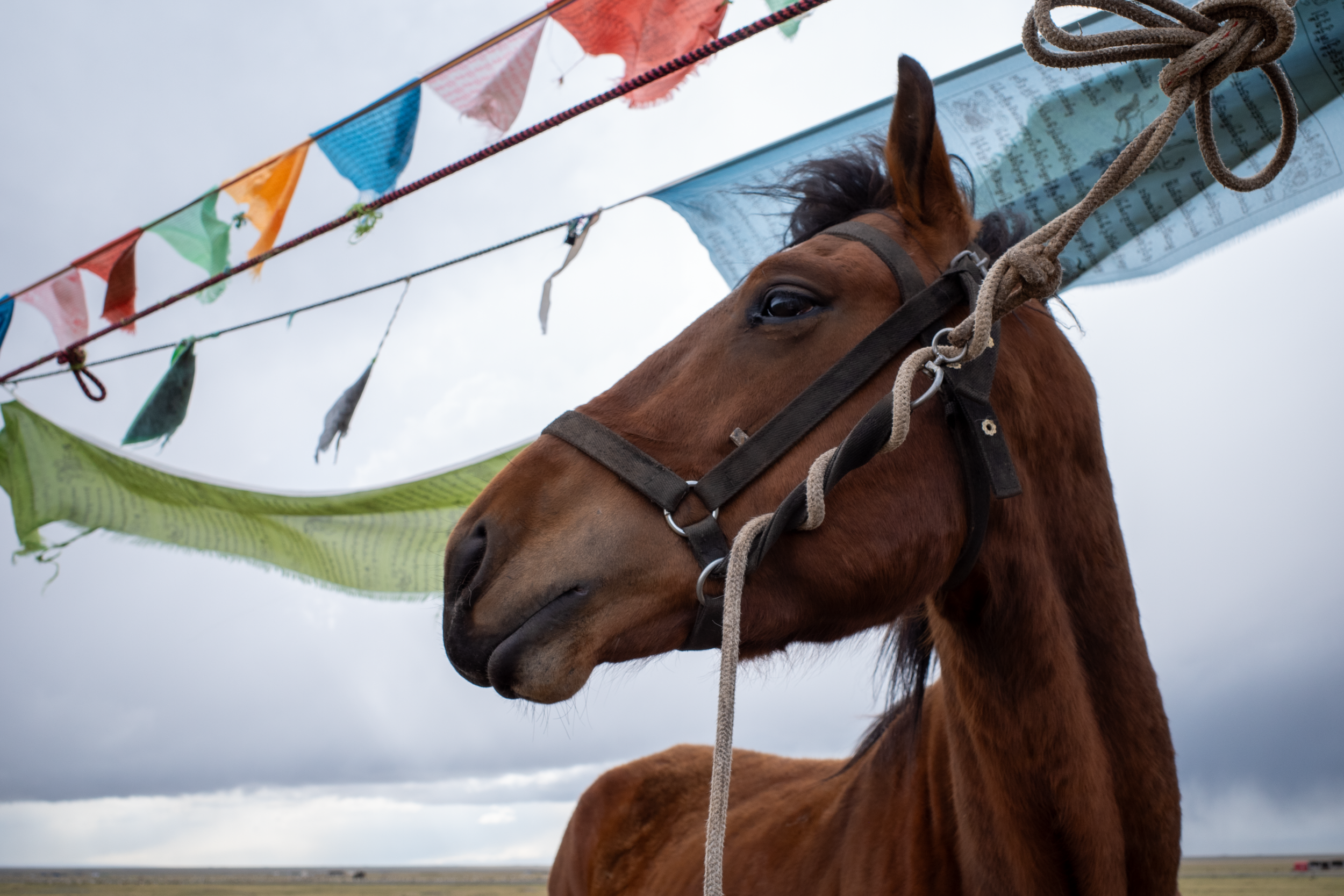 In the Vastness, All Things