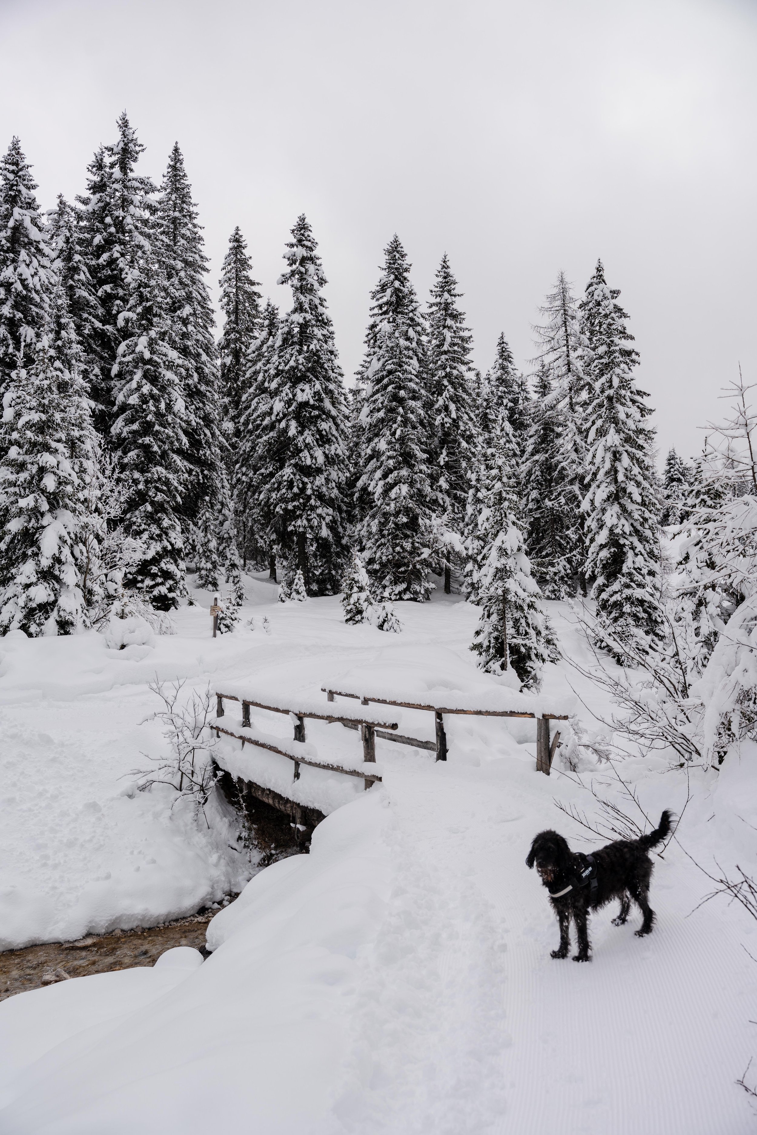 Winter road trip Dolomites_YDE Media-2.jpg