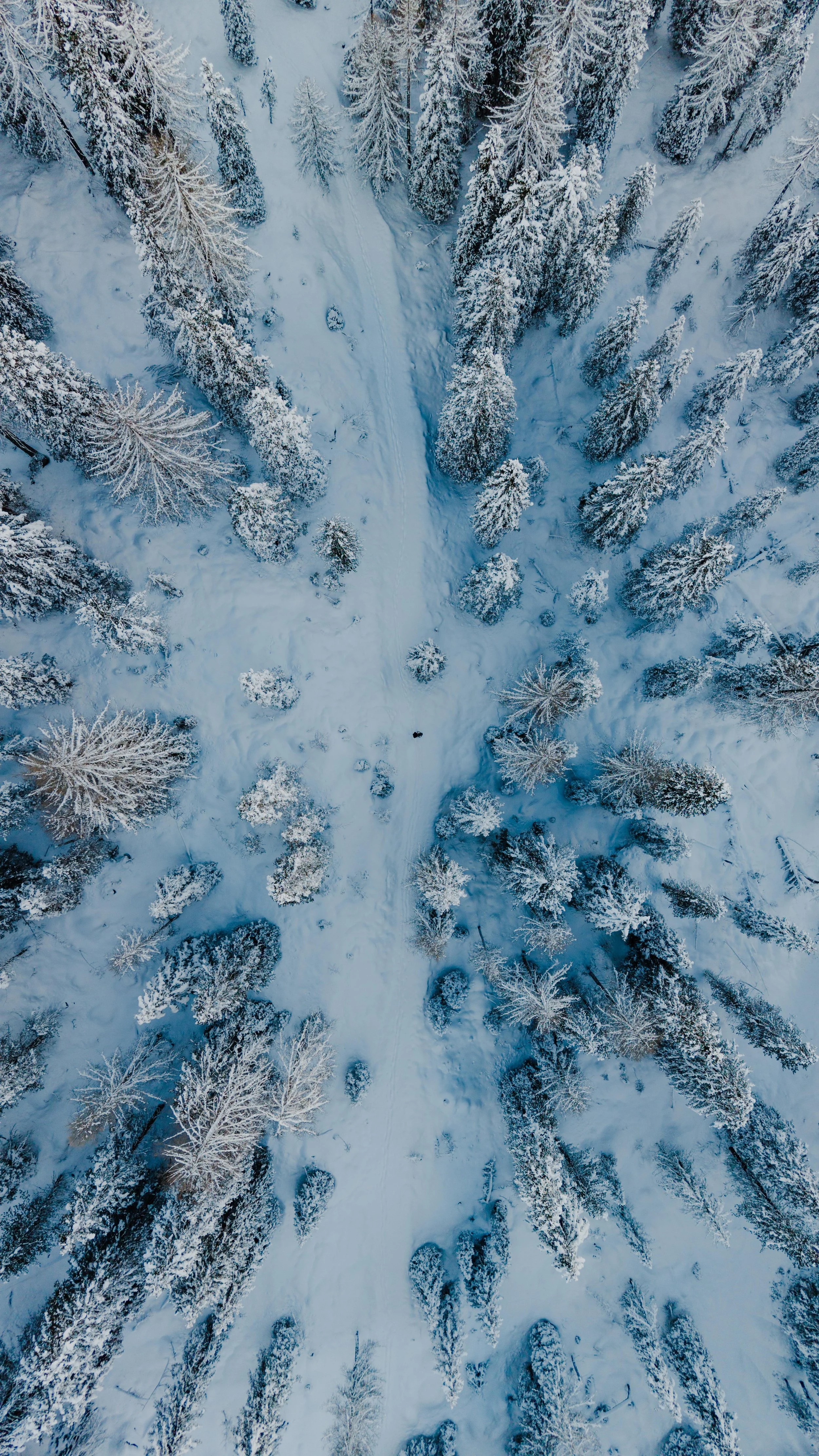 Winter road trip Dolomites_YDE Media-6.jpg