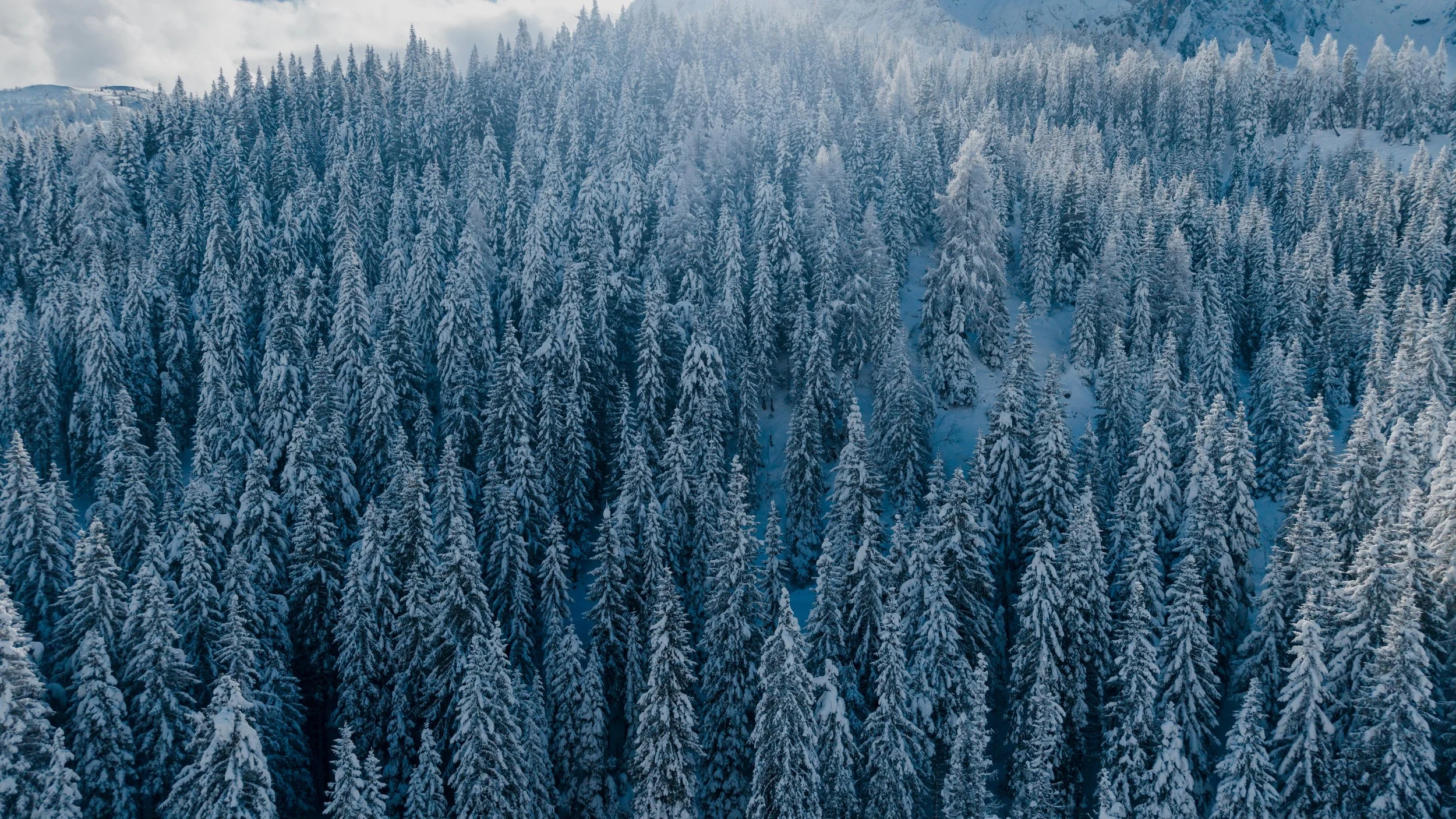 Winter road trip Dolomites_YDE Media.jpg