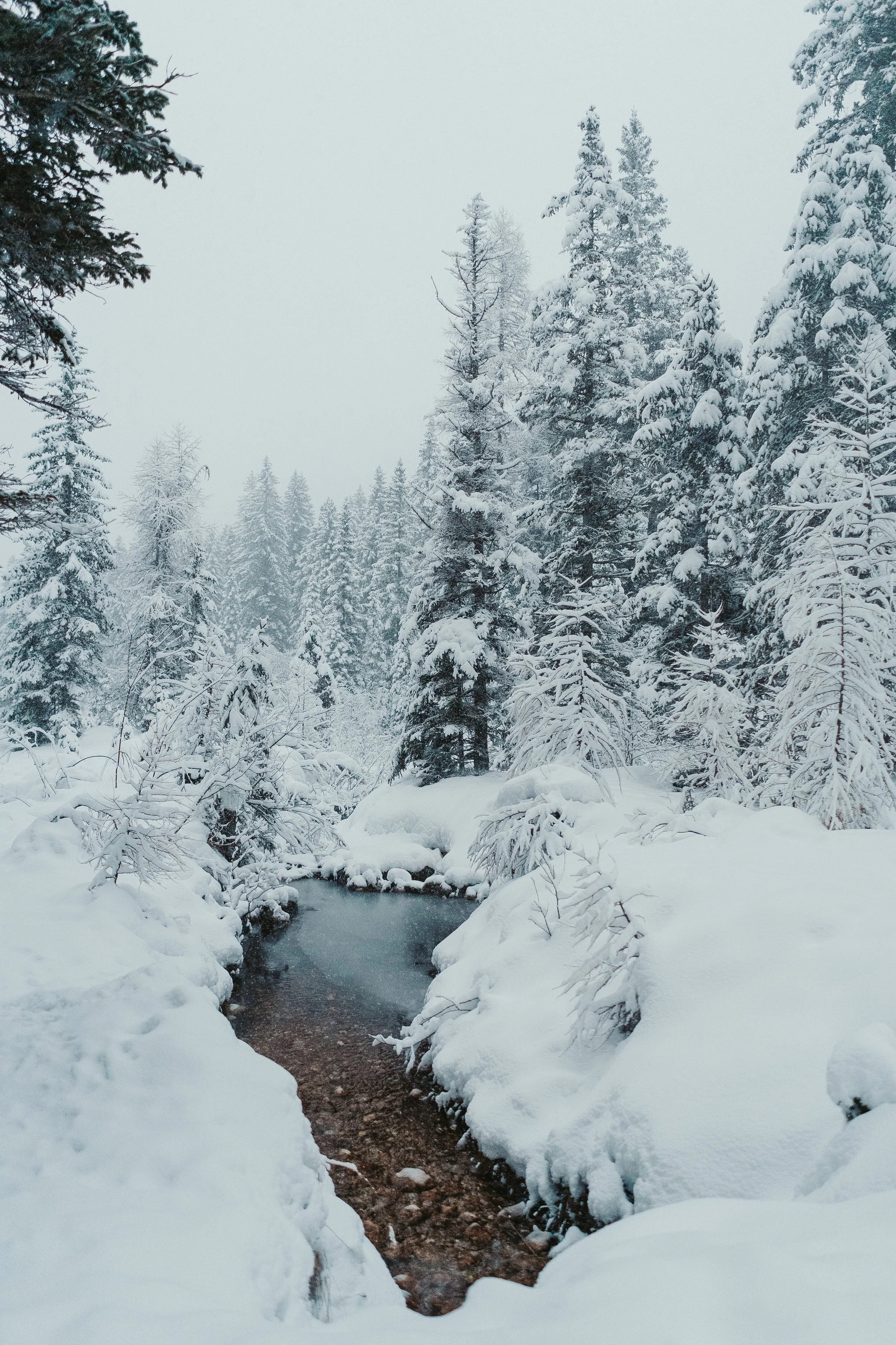 Winter wonderland, Sexten_Yde media-10.jpg