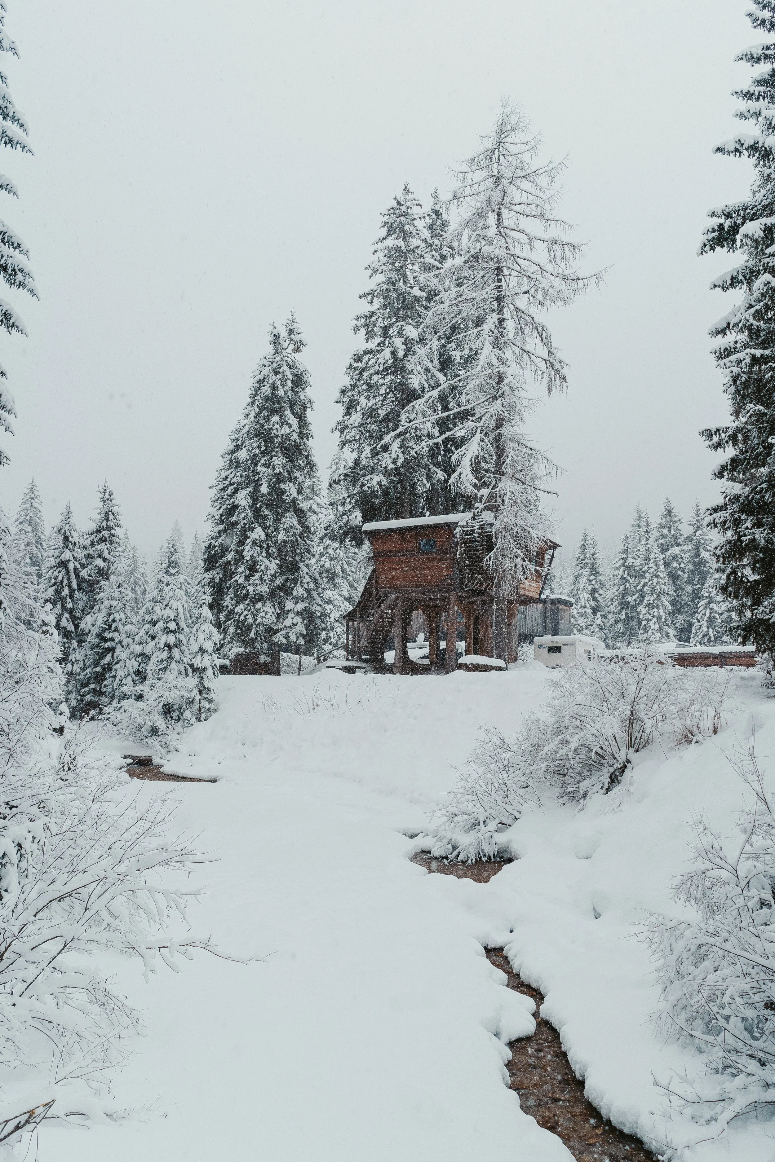 Winter wonderland, Sexten_Yde media-8.jpg