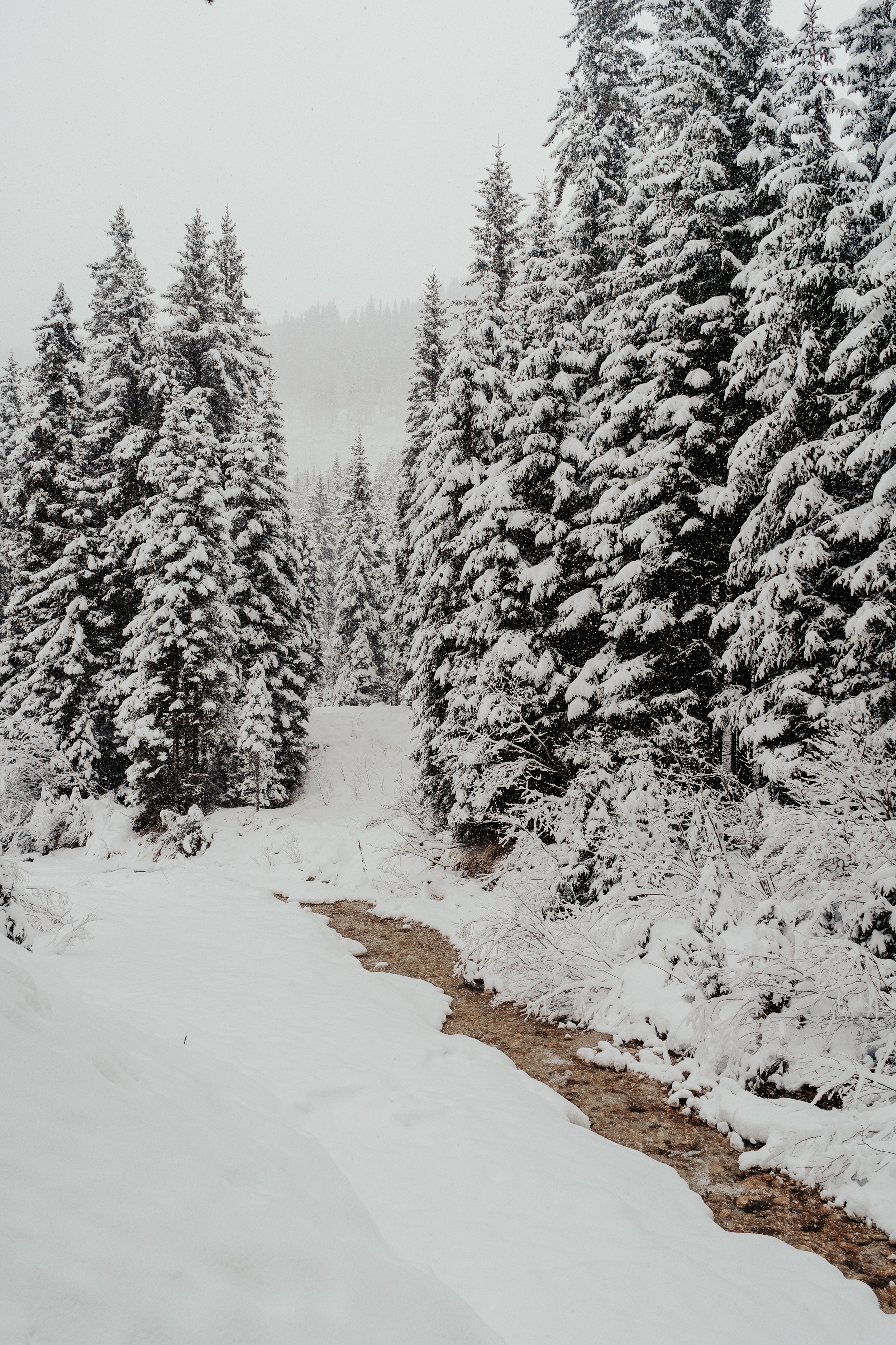 Winter wonderland, Sexten_Yde media-6.jpg