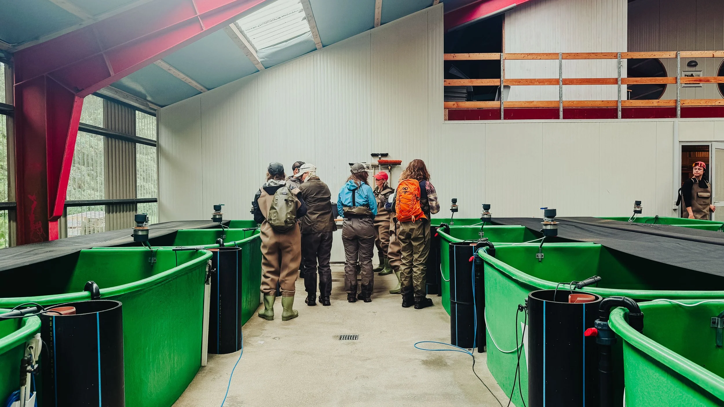 Fish & Chicks, Sarah Rønholt, Skjern Å_Yde media.-24.jpg