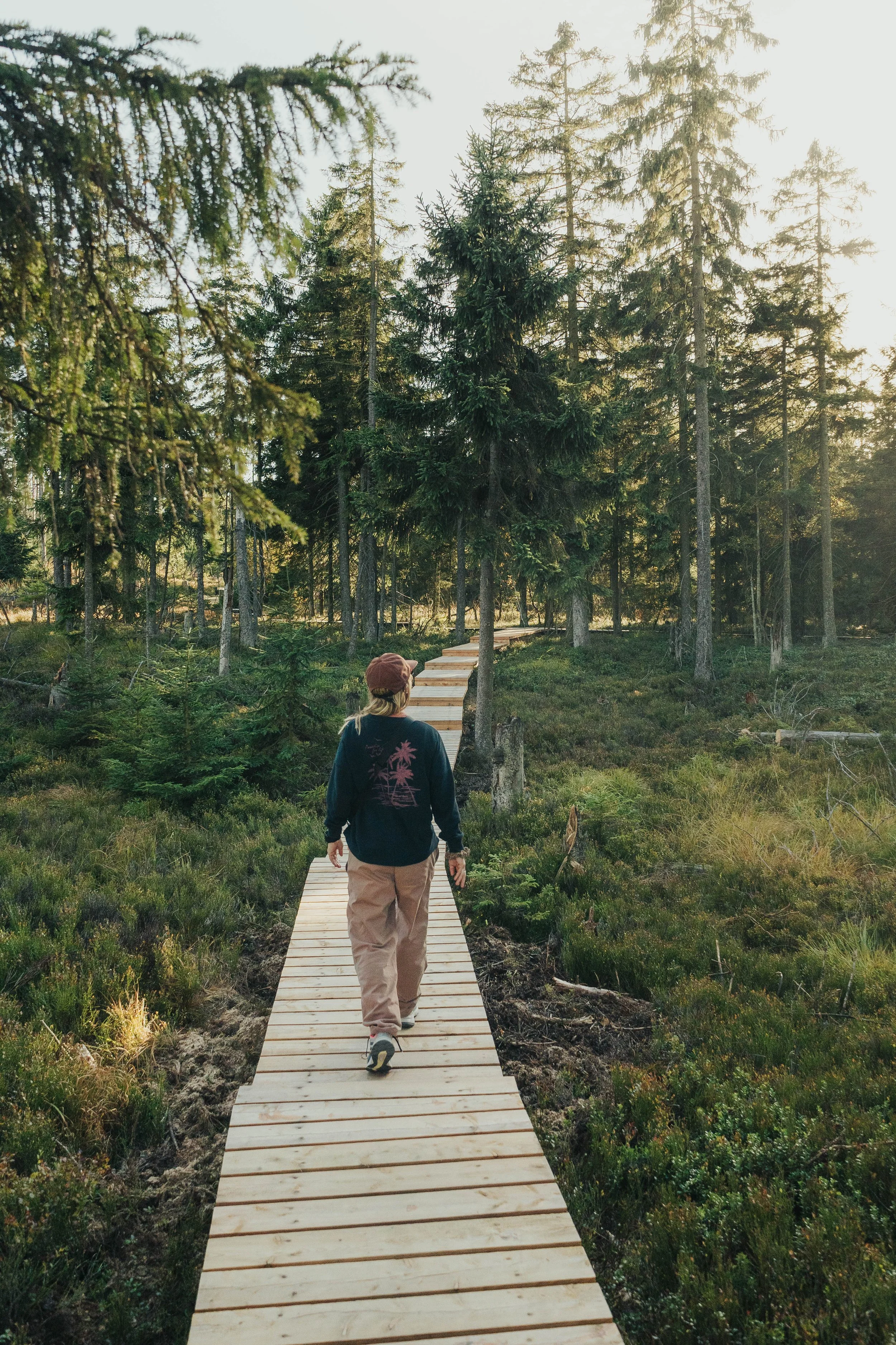 Vandreferie i Harzen Tyskland, Torfhaus Moor_Yde media-8.jpg