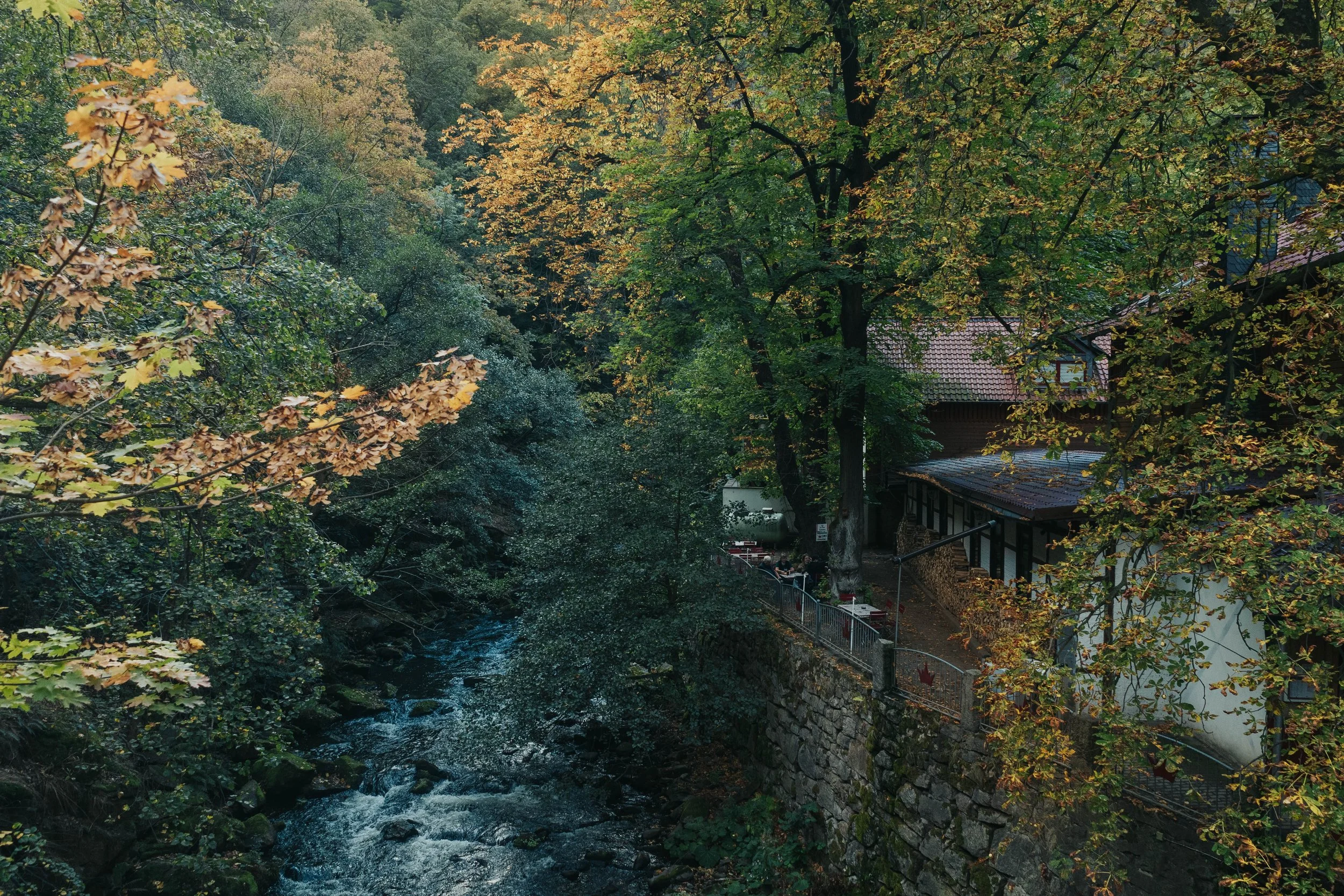 Vandreferie i Harzen Tyskland, Bodetal-_Yde media-5.jpg
