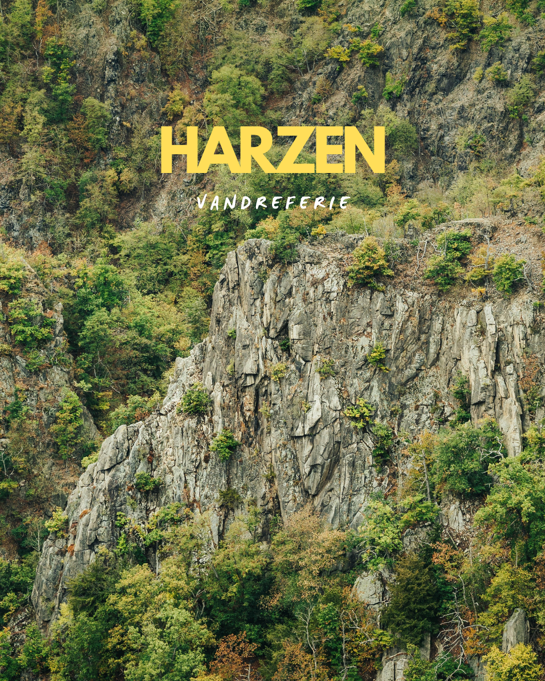 Vandreferie i Harzen